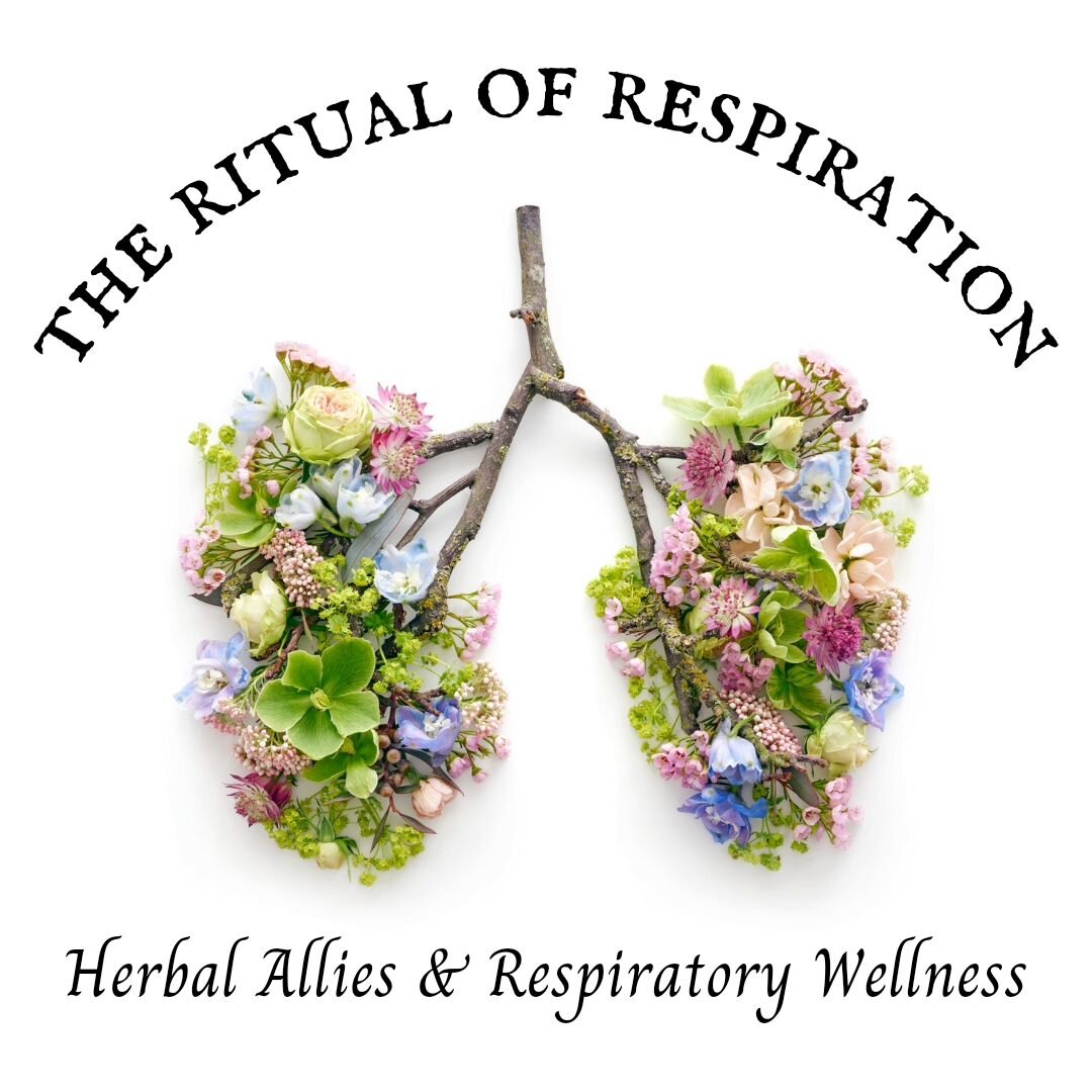 The first lesson of my latest course launched yesterday and I'm really excited about this one. As the energy of air rises with the spring, it's the perfect time to be exploring breathing and healthier respiration!
🌿 🌿 🌿