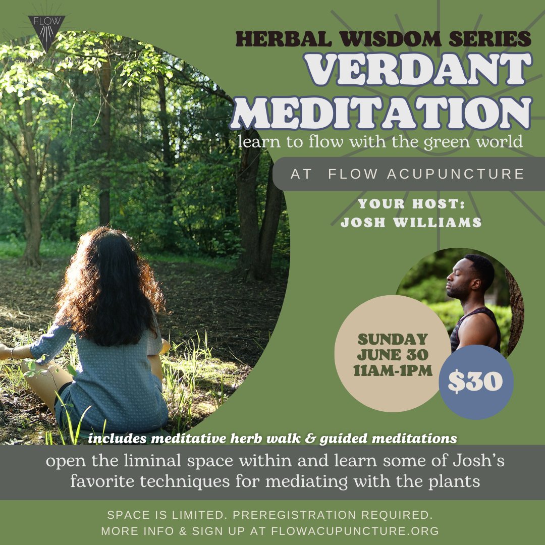 Verdant Meditation Workshop