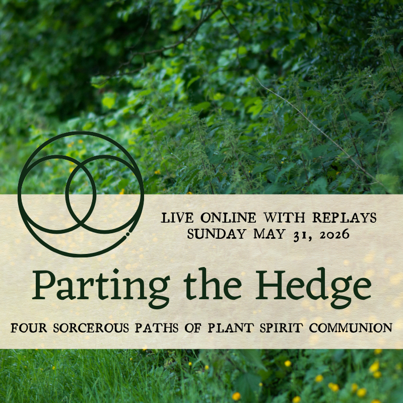 Parting the Hedge · Four Paths of Plant Spirit Communion