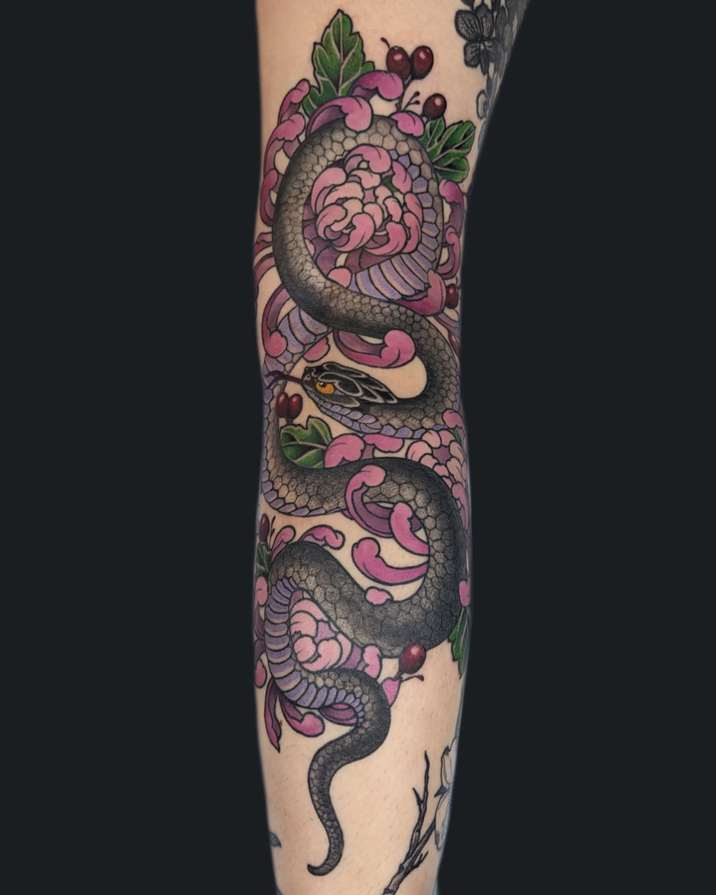 Japanese snake and chrysanthemum by English Cousins at Pilgrimage Tattoo