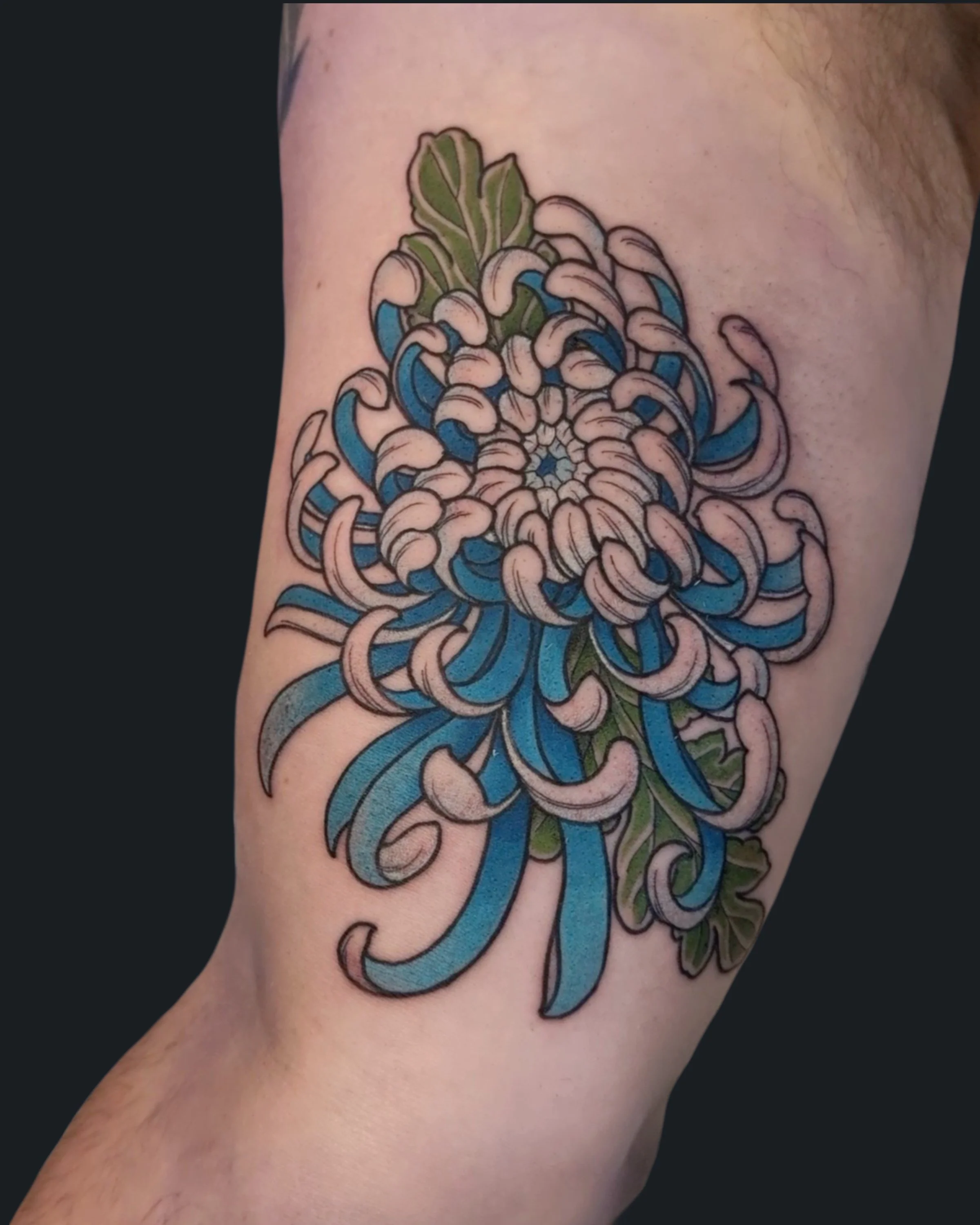 Japanese Chrysanthemum by English Cousins at Pilgrimage Tattoo