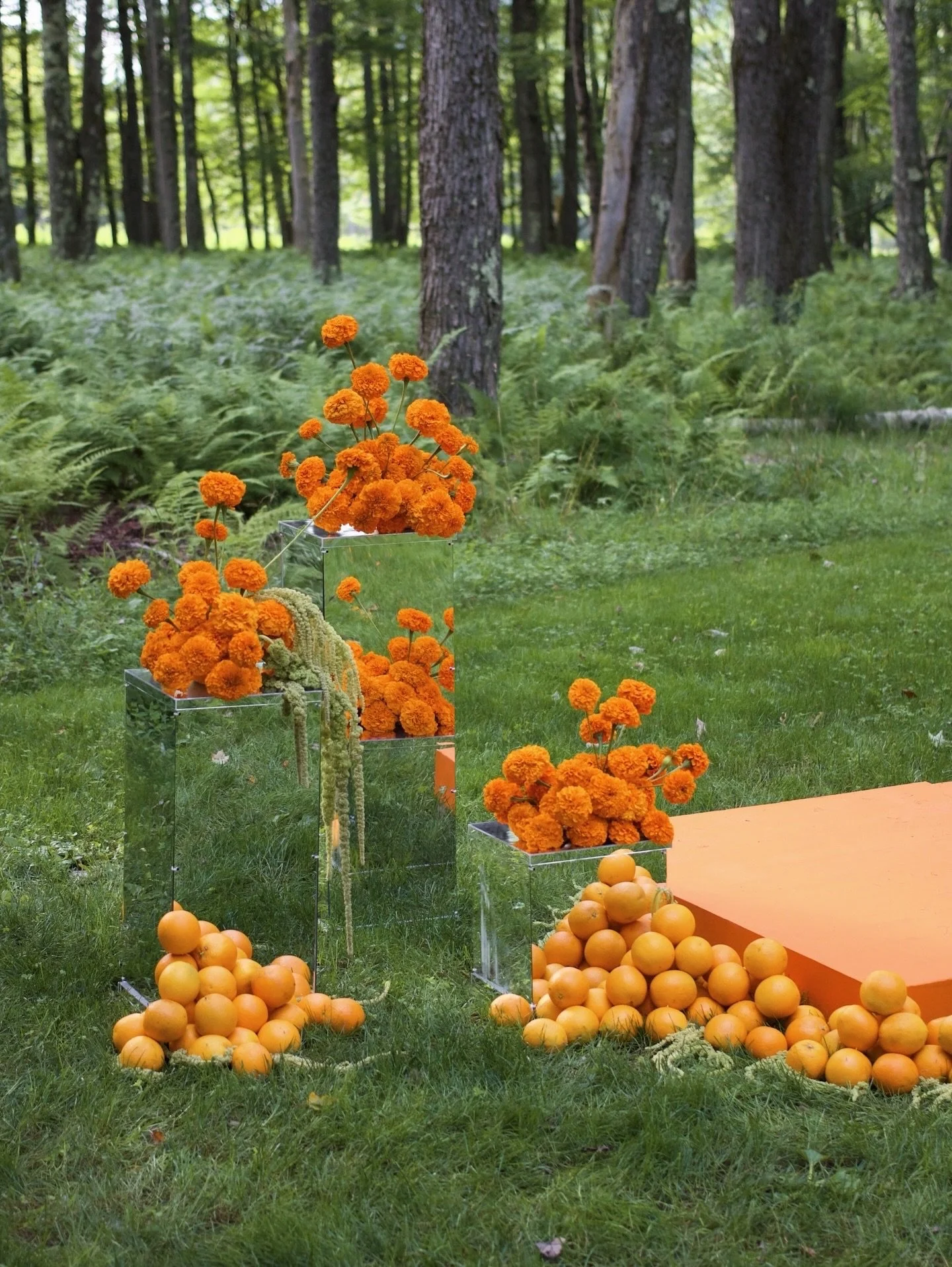 Bold color, mirrored accents, and sculptural floral elements shaped this Hudson Valley summer wedding ceremony - modern, grounded, and visually striking.

Planning @events.with.m 
Venue @handsomehollow