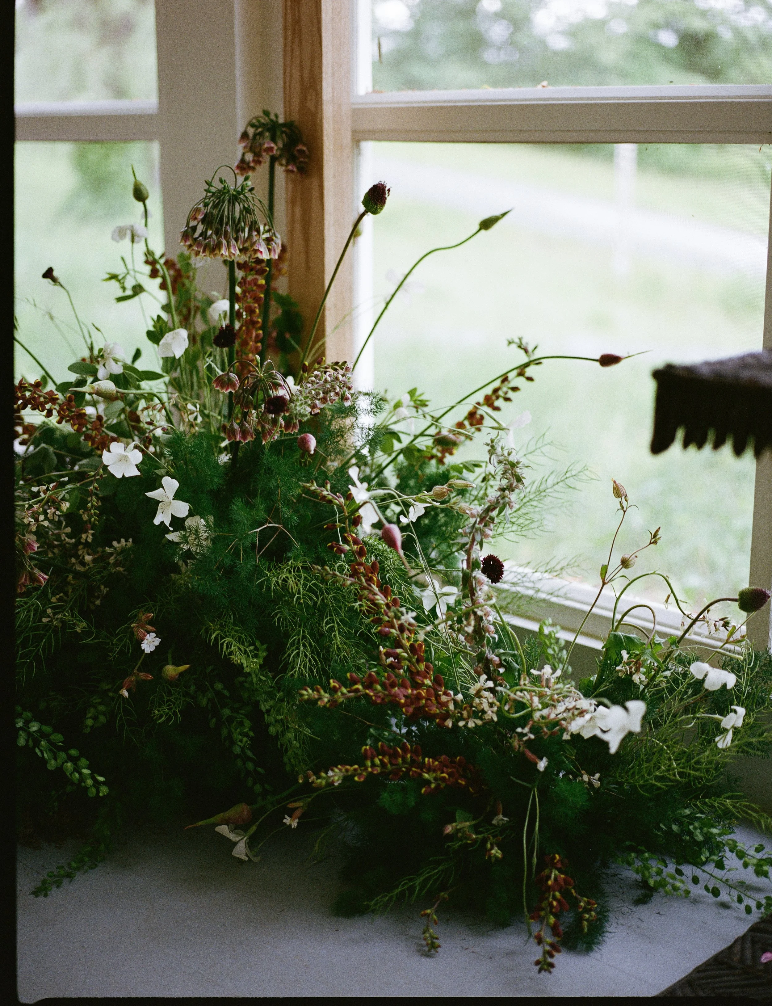 Abigail+David_ceremony-12 (1).jpeg