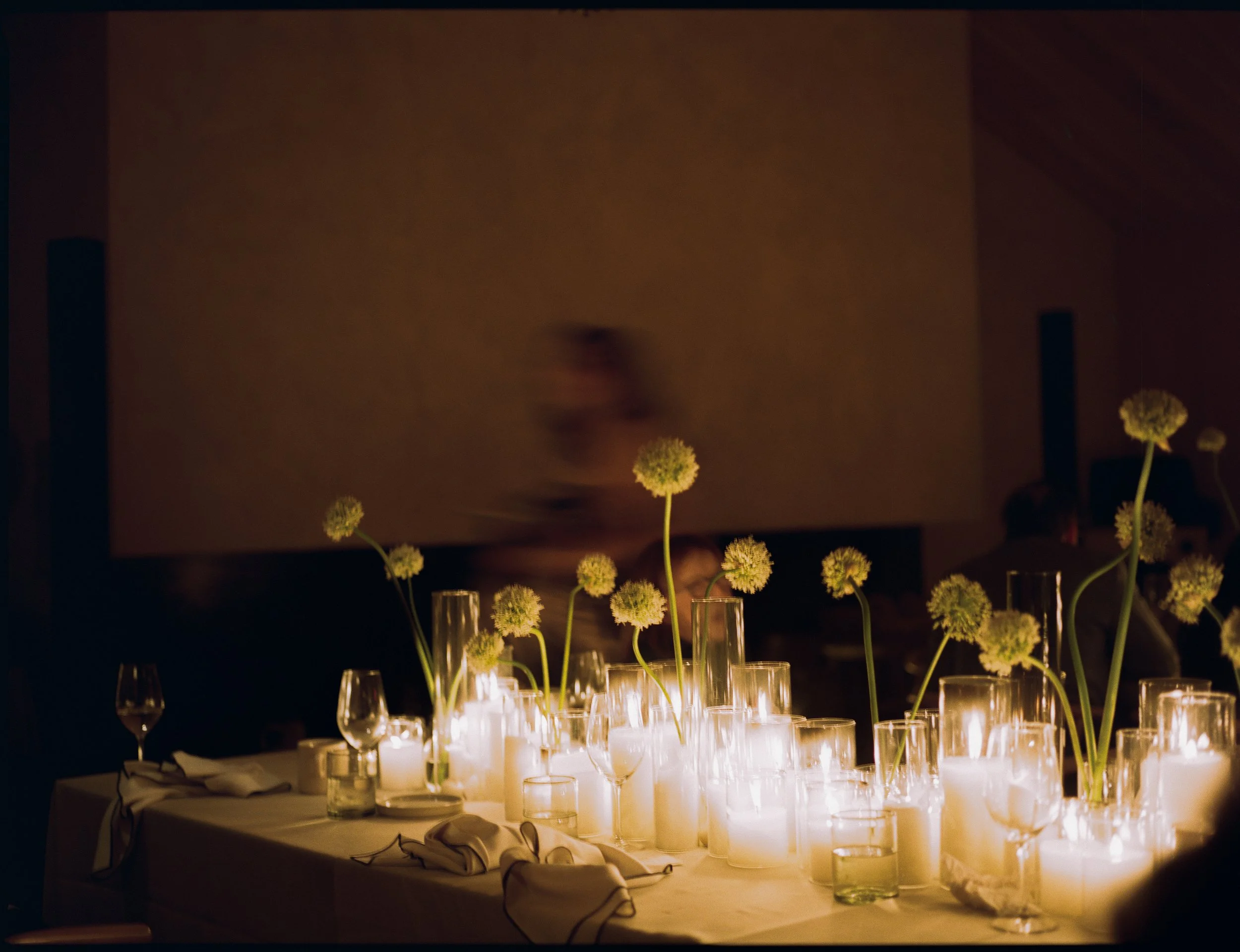 Abigail+David_dinner-276 copy.jpg