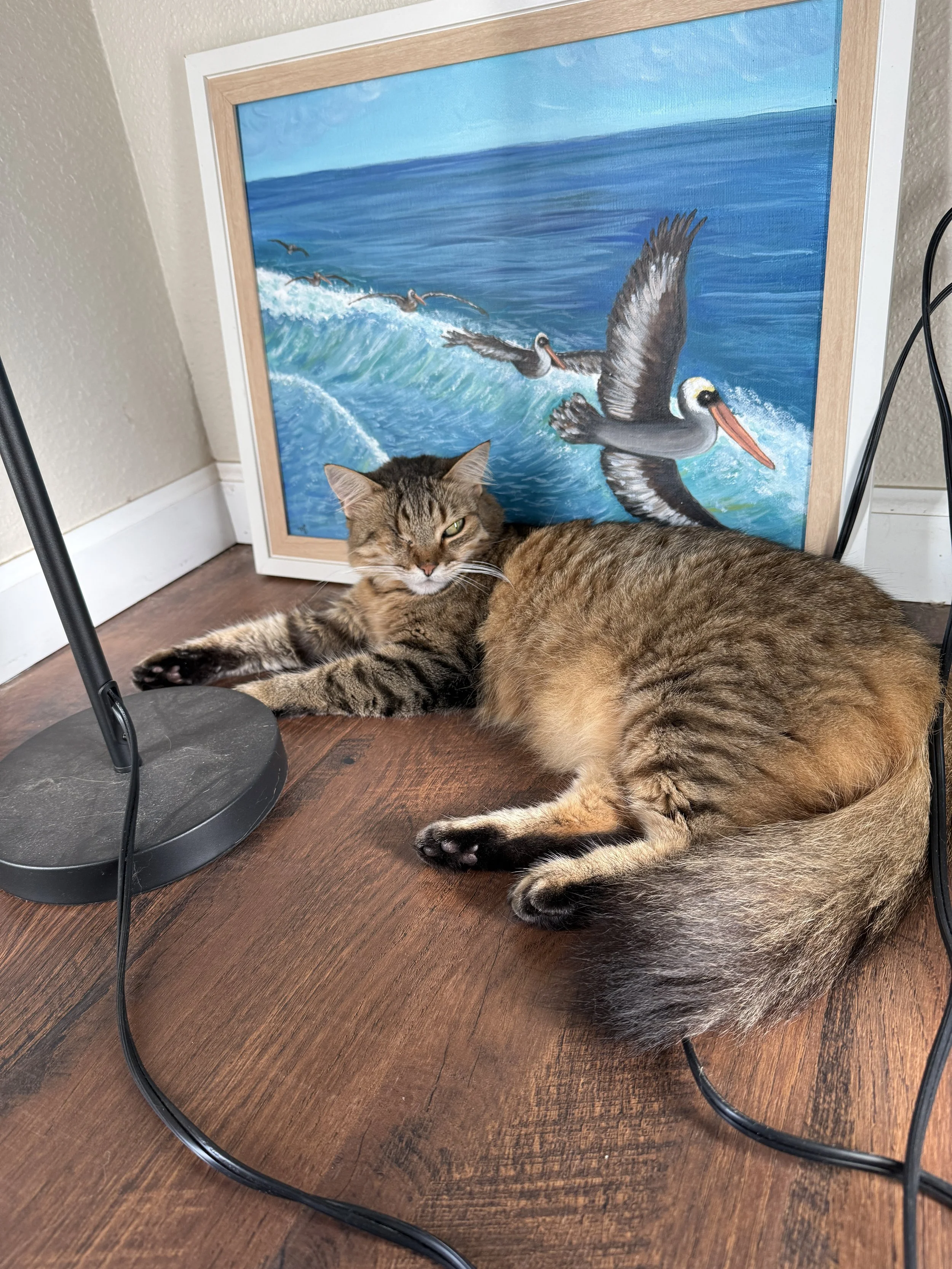sweetie with pelicans.JPG