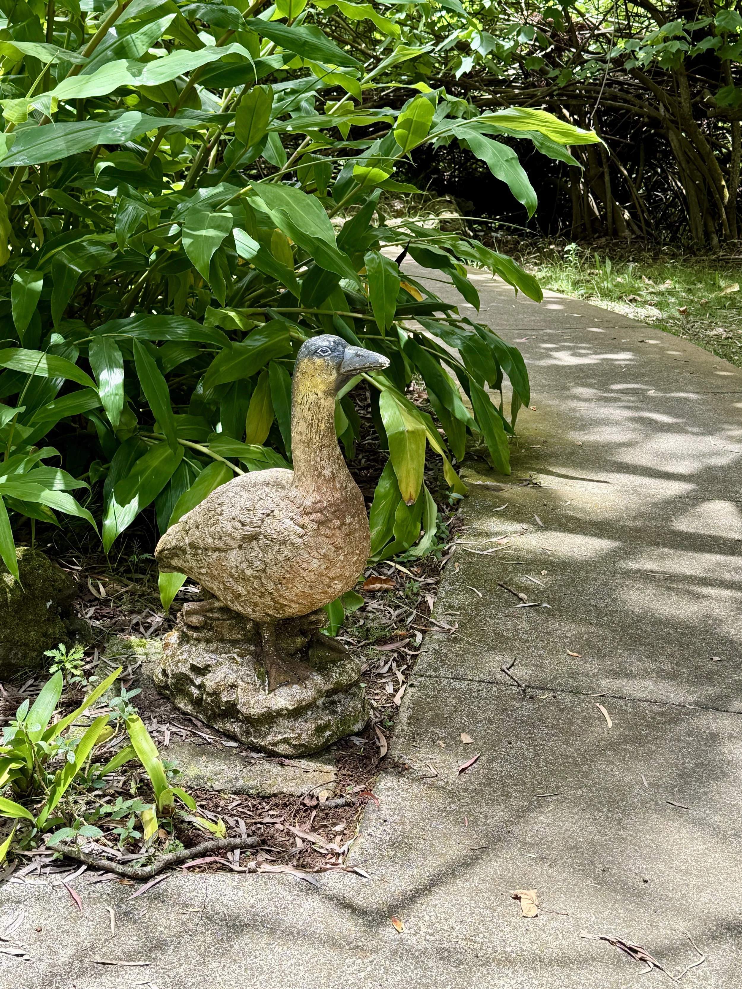 Kula Botanical Garden 4.jpg