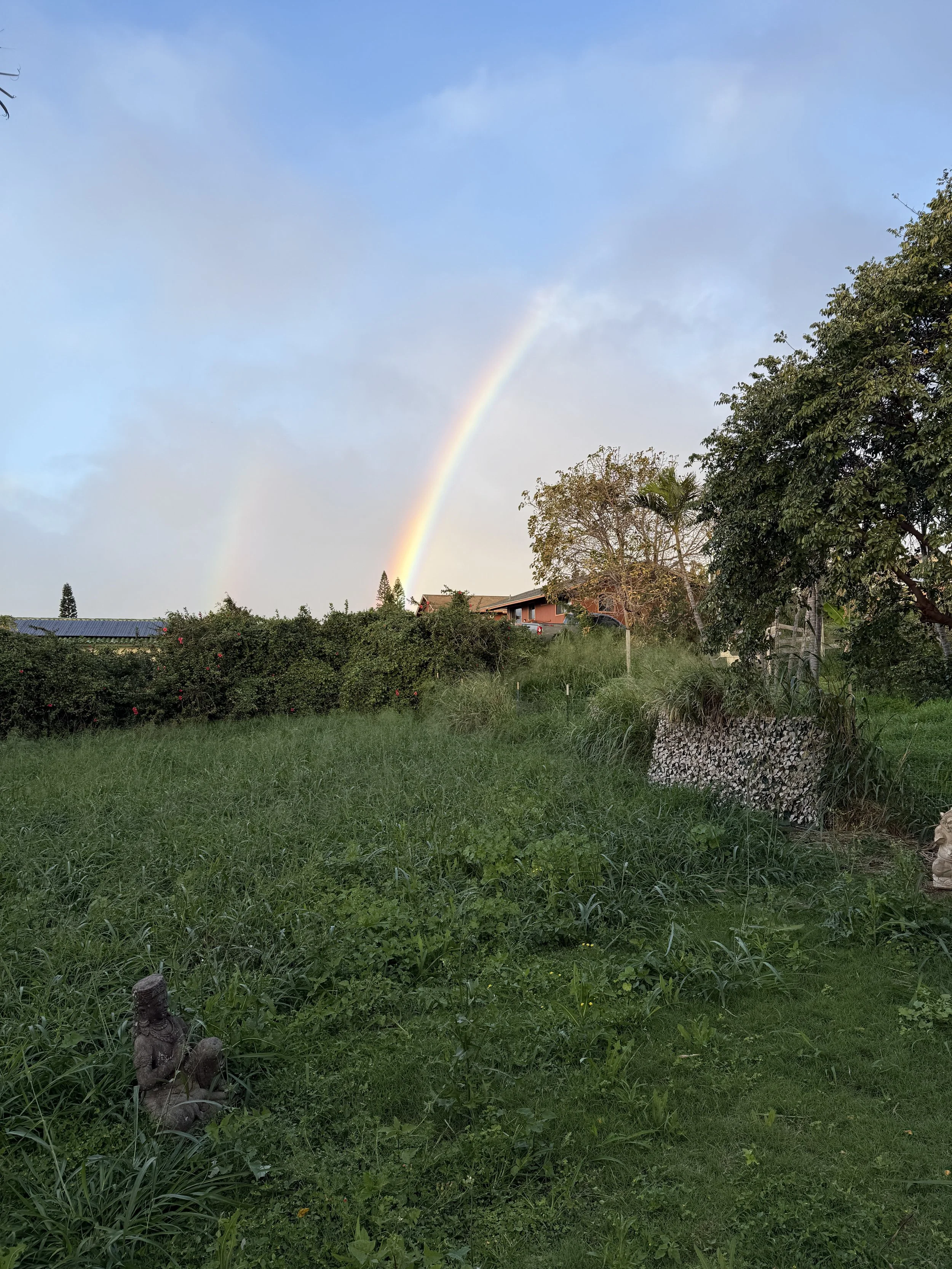 Hiolani rainbow backyard.JPG