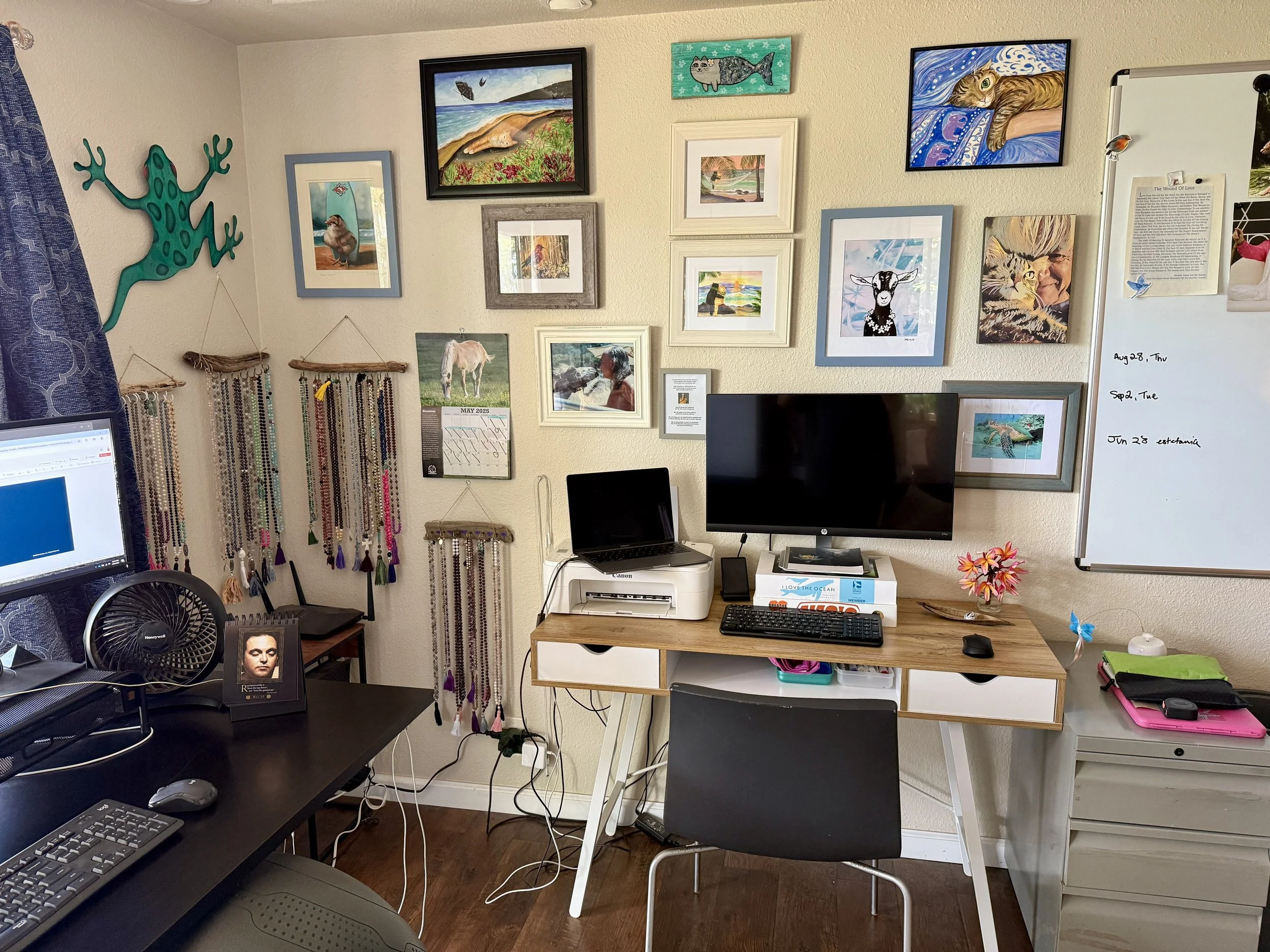 hiolani office art wall.jpg