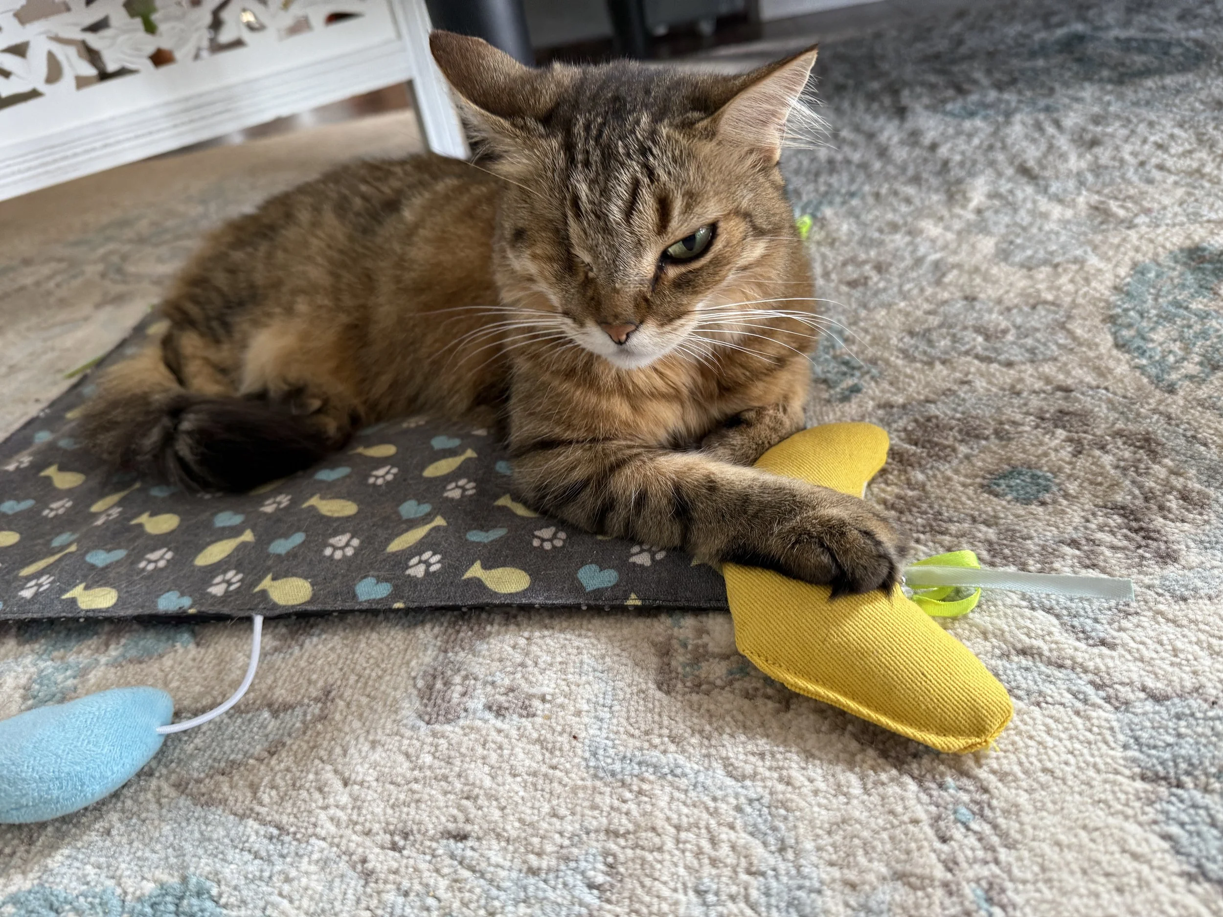 sweetie crunchy mat.JPG