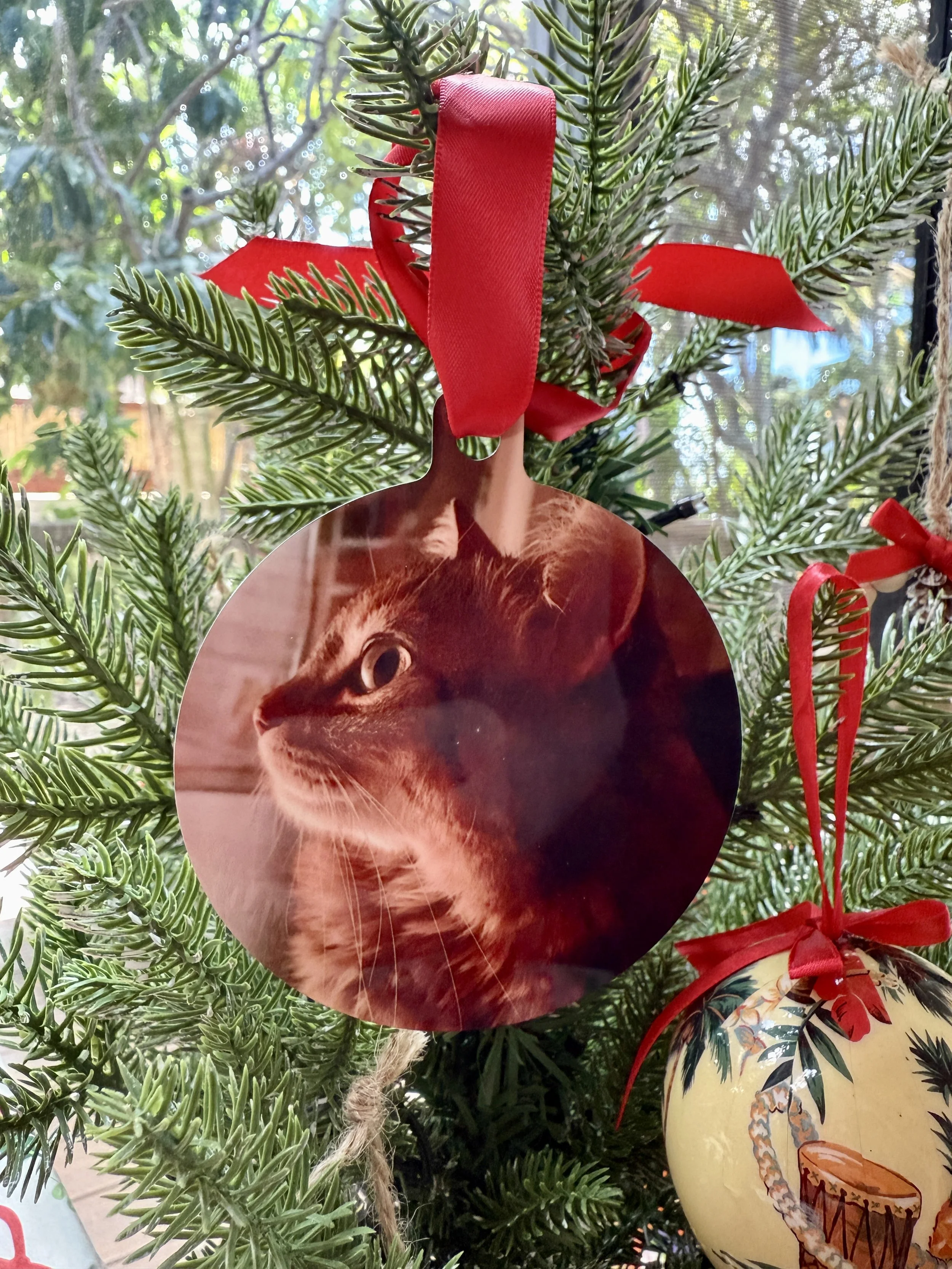 Christmas 2025 tree Sweetie ornament.jpg