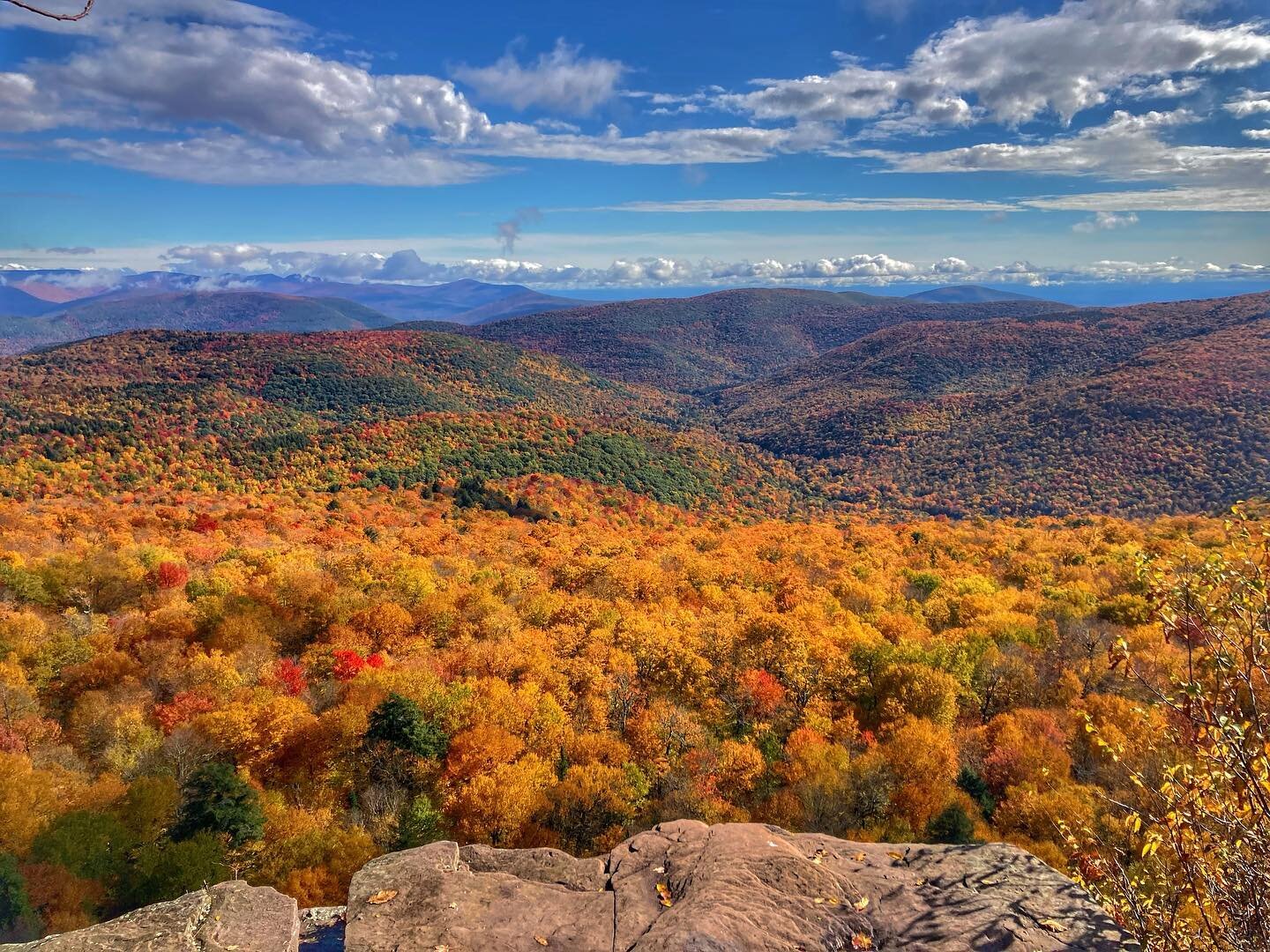 These 🍁 vibes got us crazy for the Catskills! Who is hitting the trails for some prime 🍂 peeping? #visitcatskills #catskills #thecatskills #catskillsmountains #catskill #catskillsny #upstateny #upstatenewyork #fallfoliage #fallinnyc #fallinny #scen