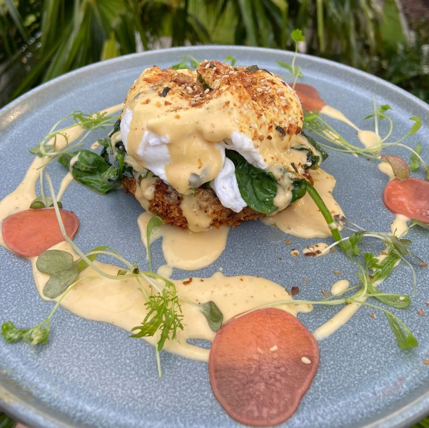 Get ready for a new breakfast special 

Salmon fish cake

Salmon and dill fish cake 
Saut&eacute;ed spinach
Two soft poached eggs
Miso infused Hollandaise 
Bonito Furikake
Pickled radish

$21.00
.
.
.
.
.
.
.
#cafeharmonyqld #cafe #harmony #sunshinec