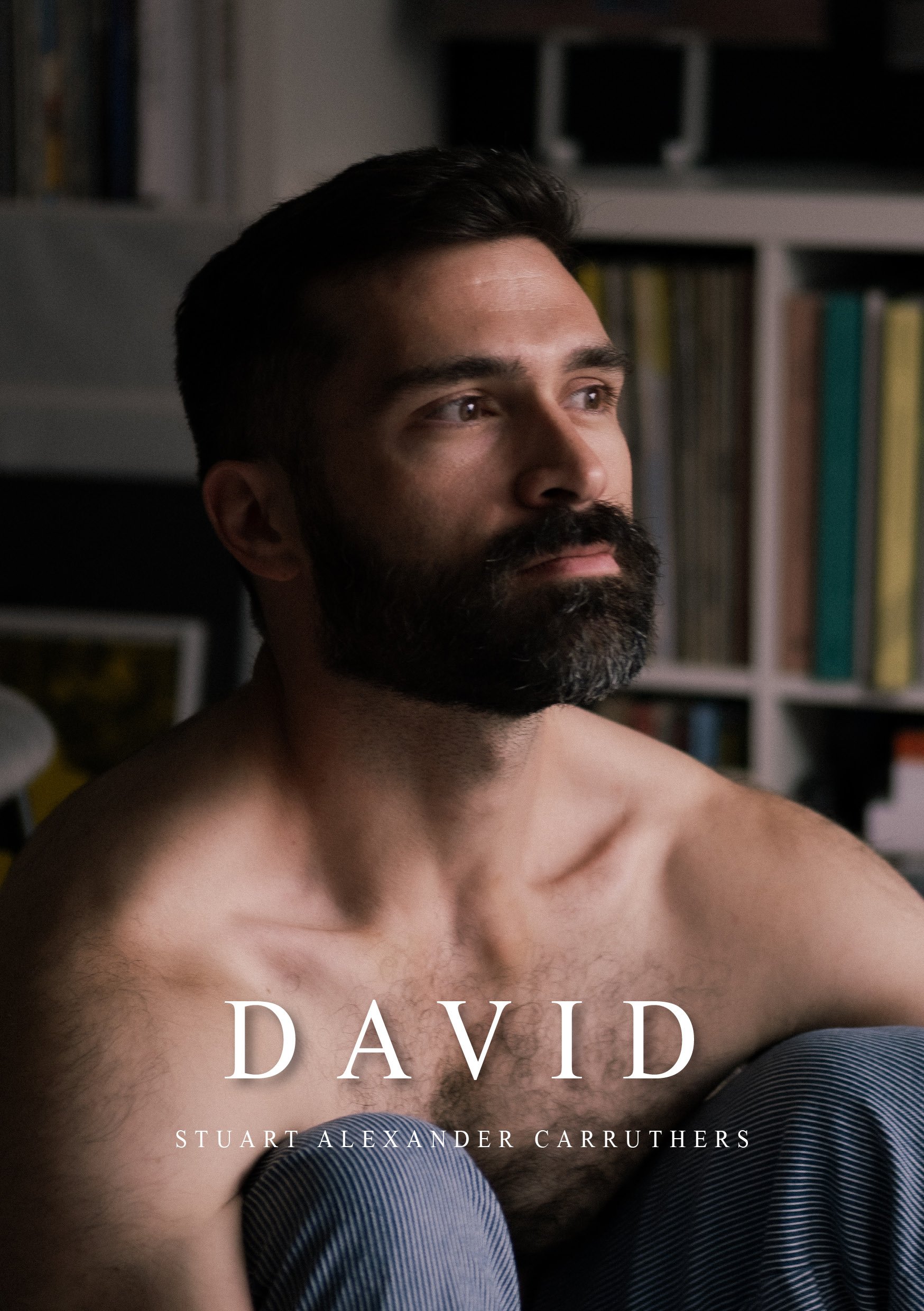 David Digital Zine