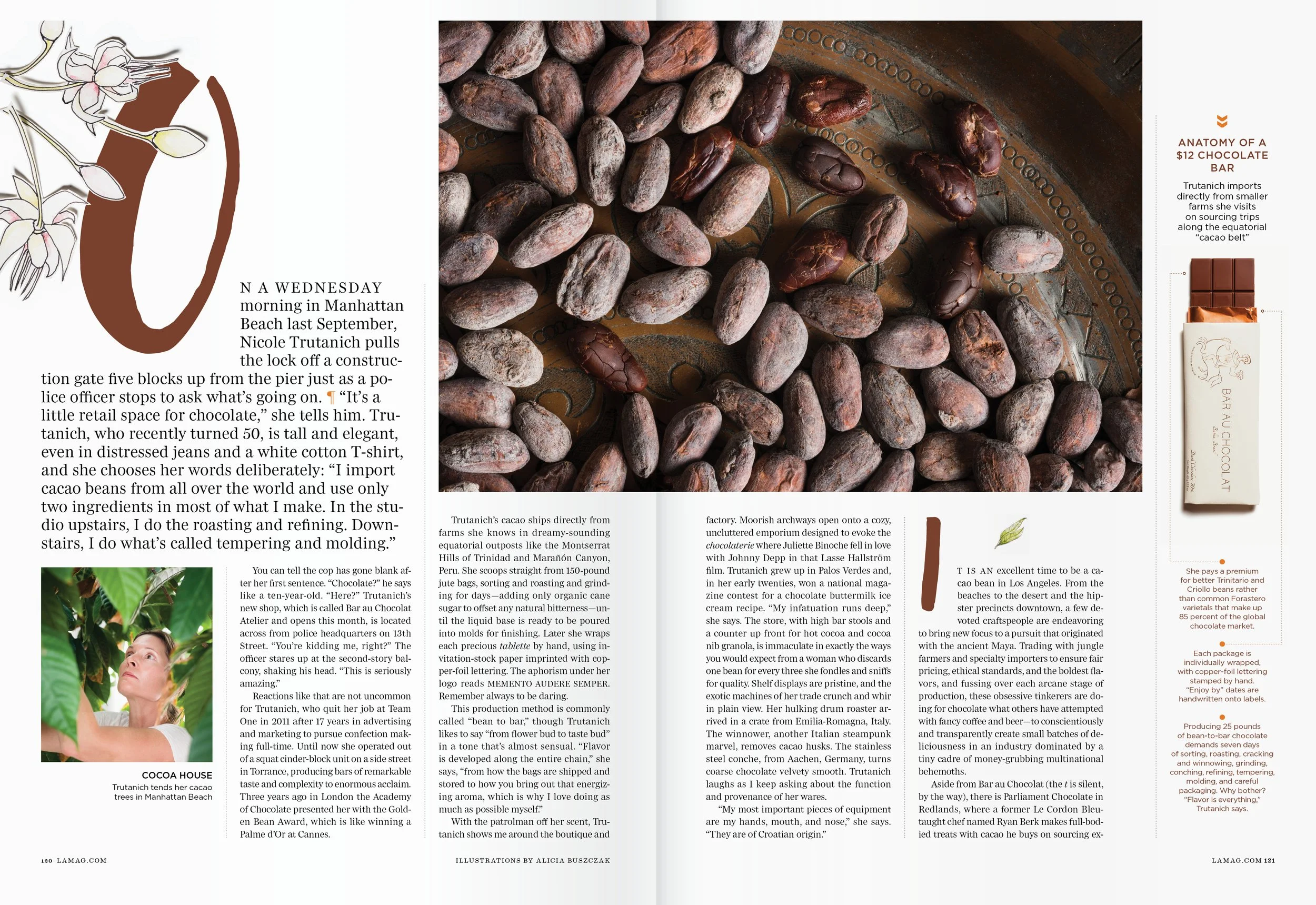 LAM_The Melting Pot2.jpg