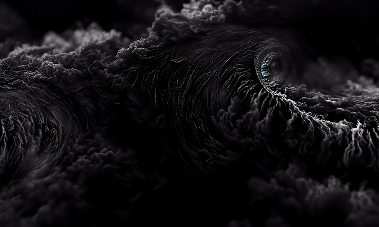 hurricane03(0)_0113.png