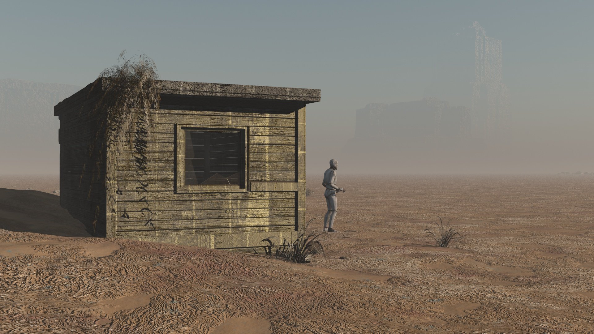 desert look010175.jpg