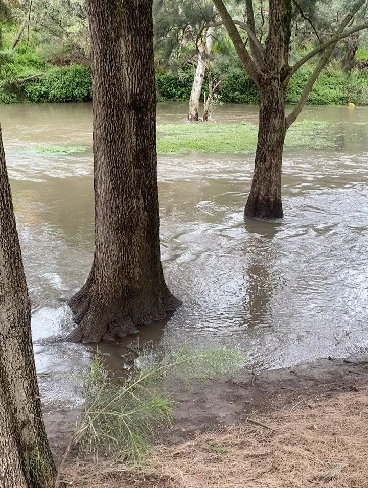 Feeling flooded with the end of year to do lists ? Join us for prenatal yoga to re-balance and nurture you and your growing baby . Sunday morning @themidwiveshouse . 9.30am. #prenatal #prenatalyoga #sundaychill
