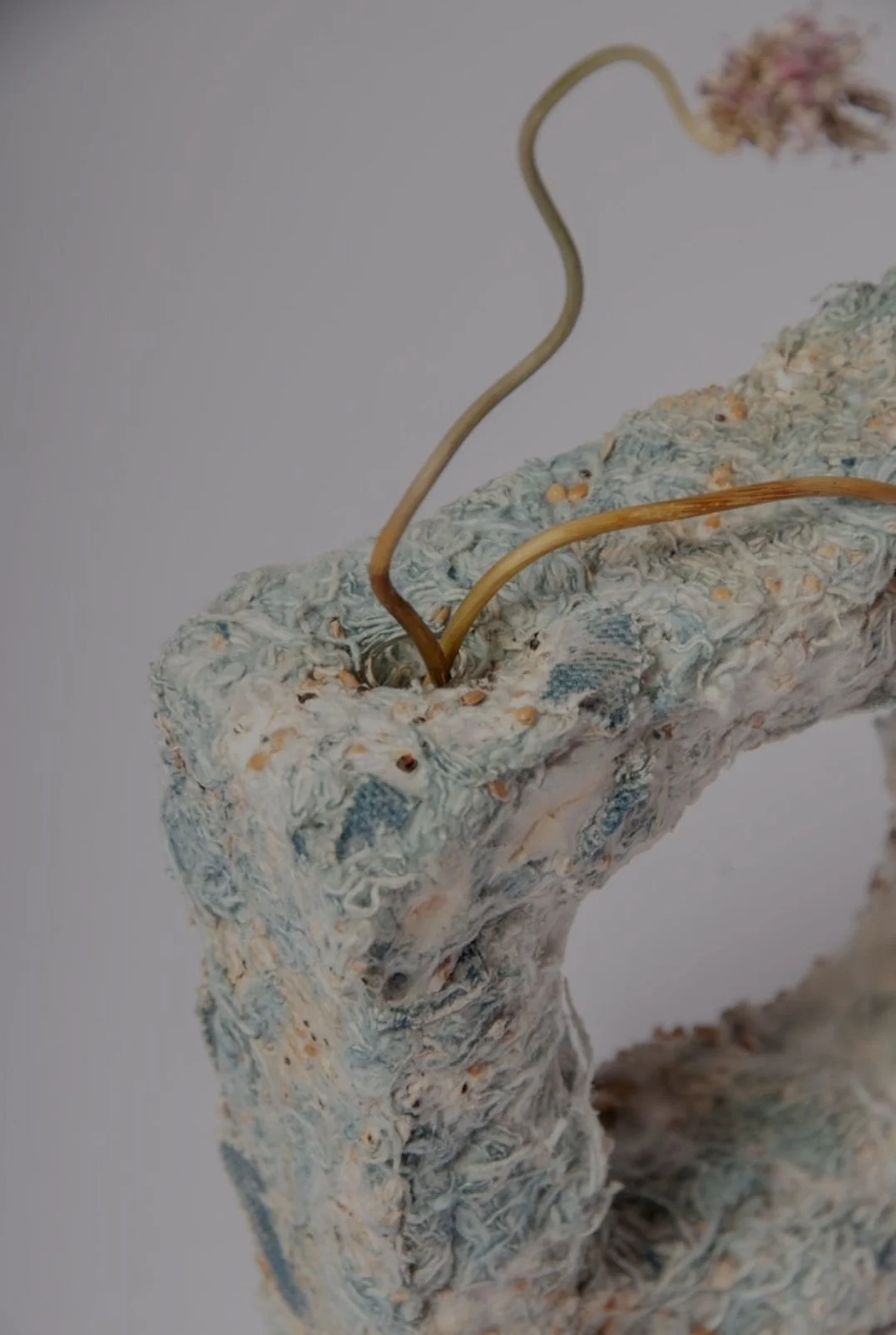 BRINGING LIFE TO WASTE: THE ORGANIC DESIGN OF BELLA STERN