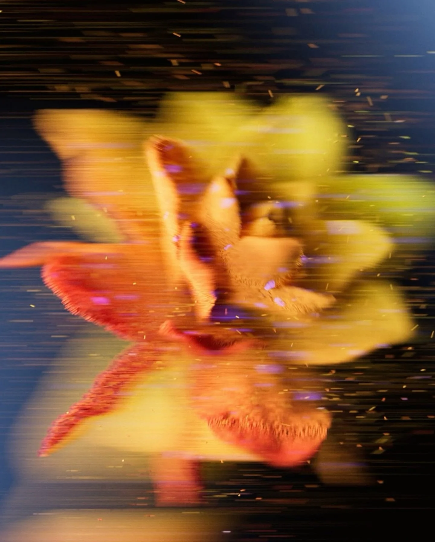 Superbloom, created in collaboration with the @intercombrandstudio team for the Pioneer event.
Rooted in the intelligence of pollen, the project blossomed into a series of evolving assets - from digital flowers to the logo mark - all shaped by partic