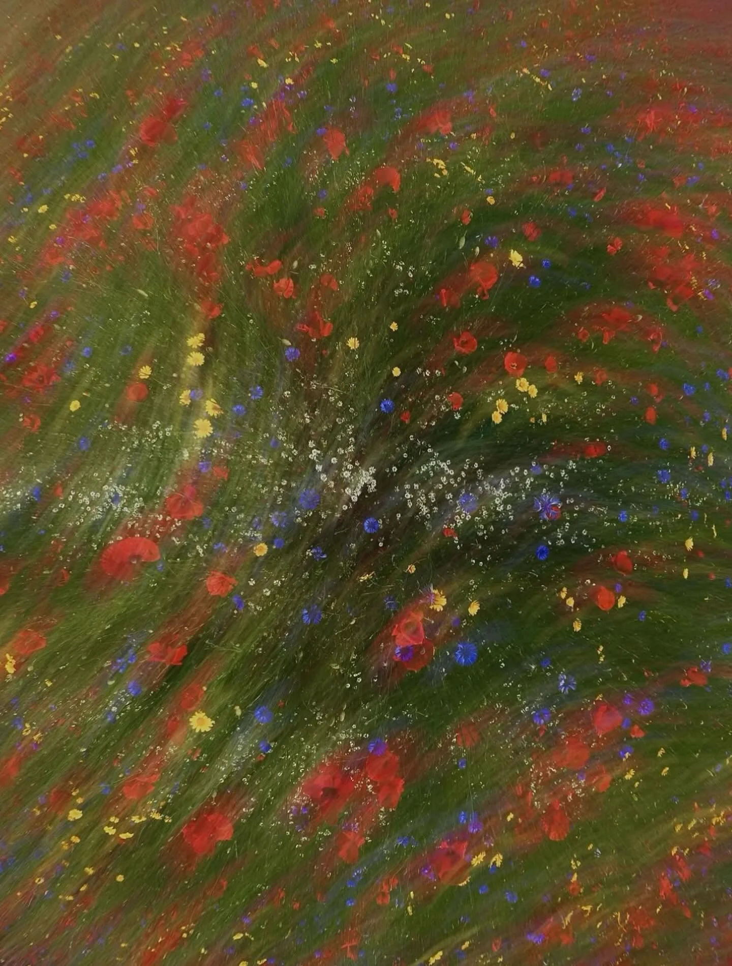 Artwork by Kristina Makeeva
@hobopeeba

#KristinaMakeeva