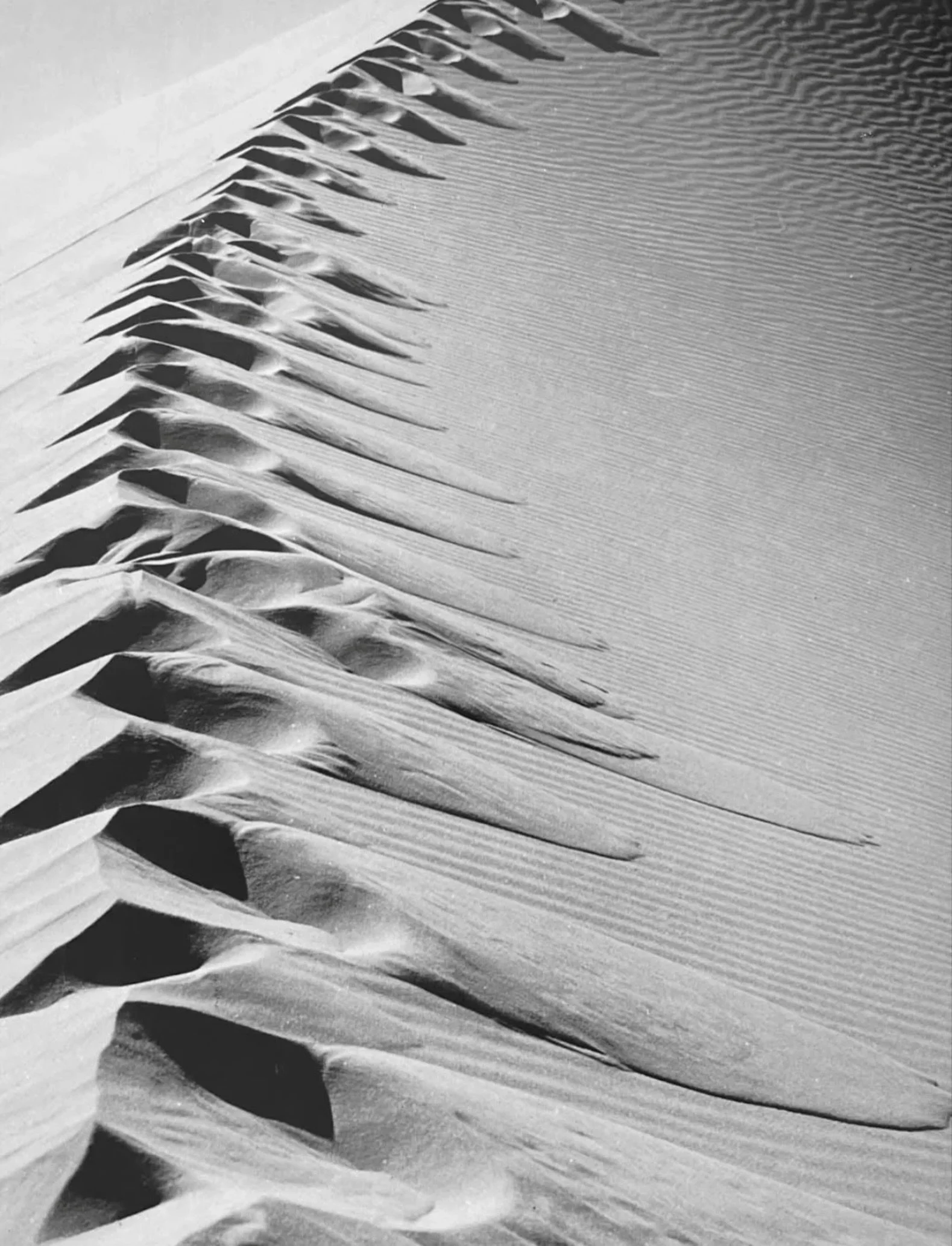 Sahara, 1969. 

Photo by #MaximilienBruggmann