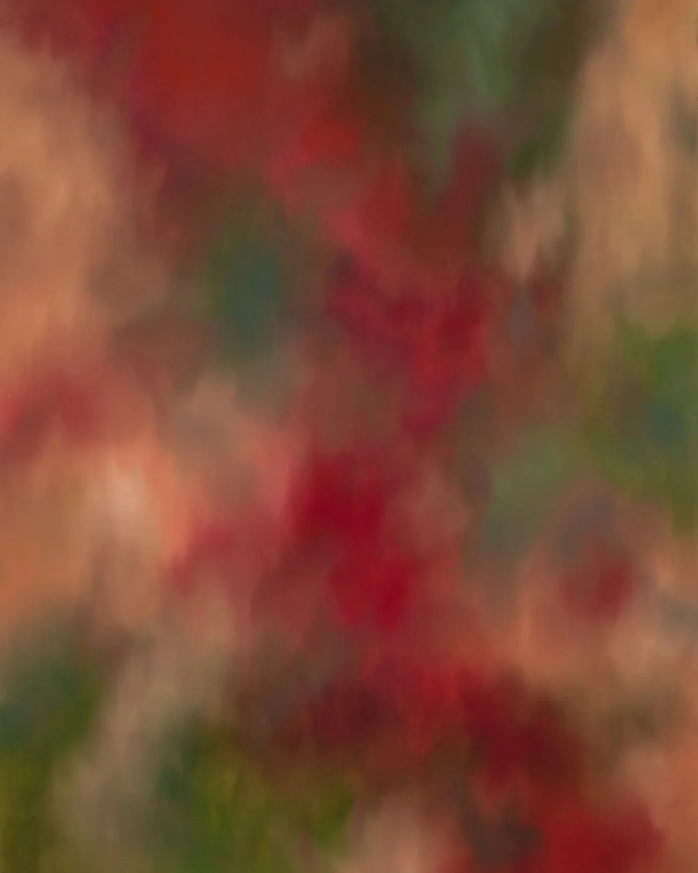 THE BEAUTY OF UNCERTAINTY: DELIA HOU ON PAINTING THROUGH PARADOX