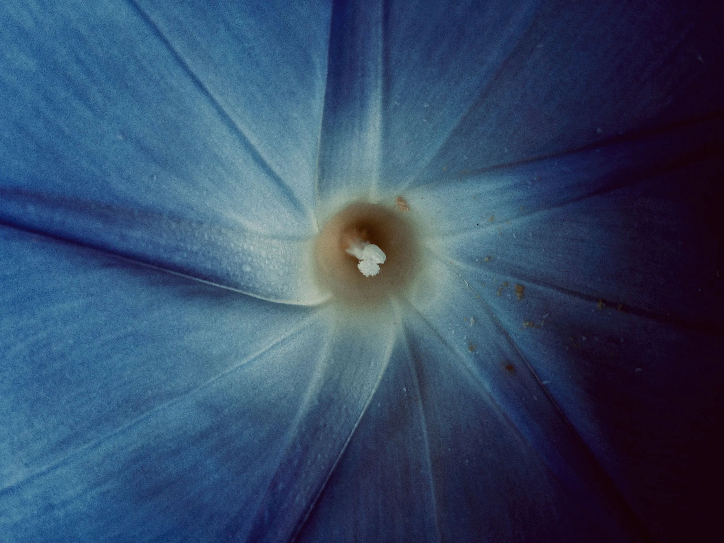 Centering on Hope