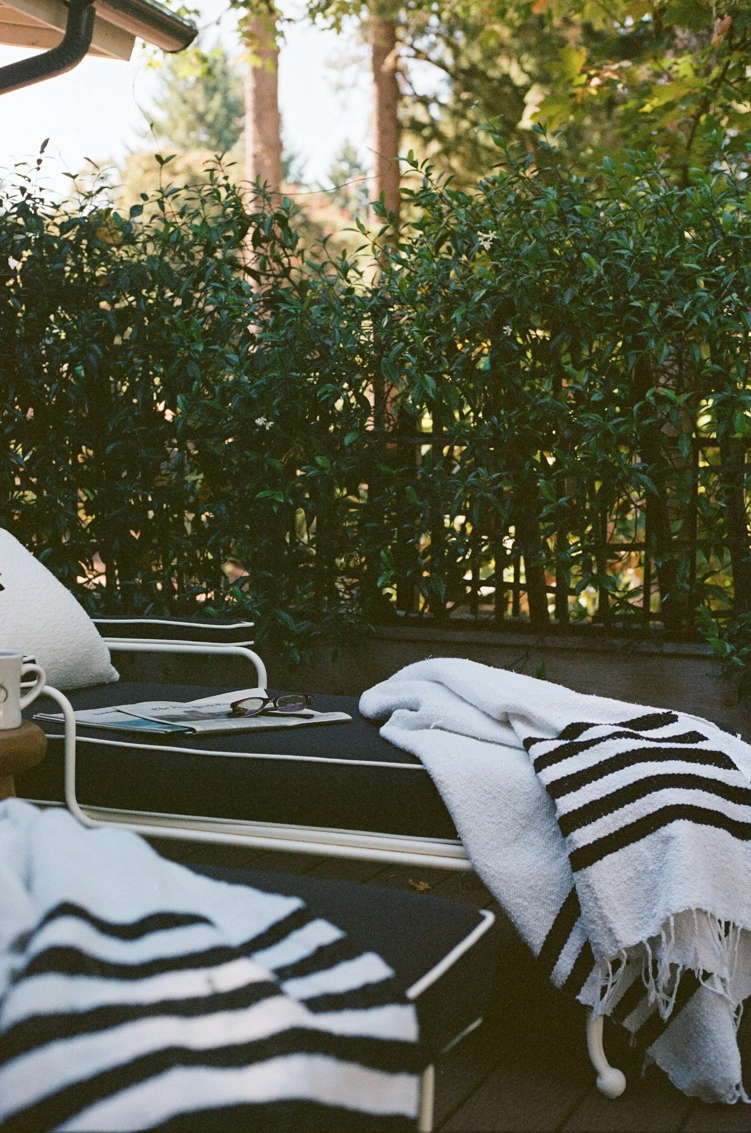 000001020028 copy 2.jpg