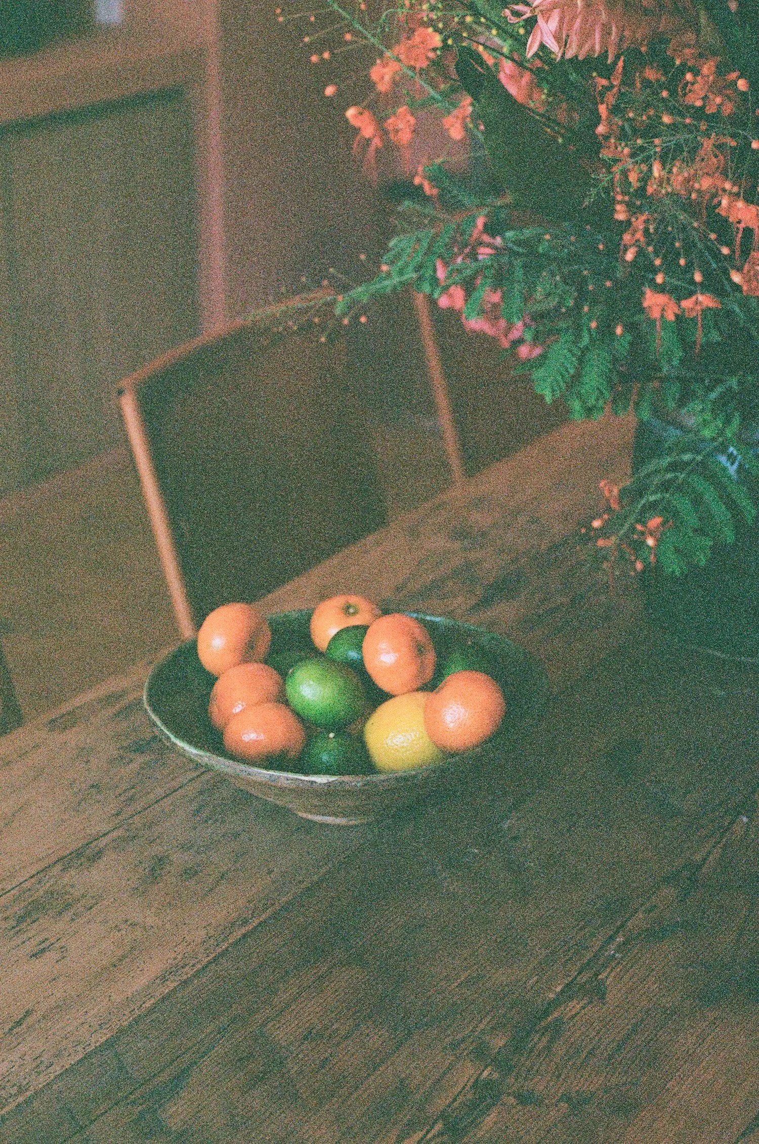 000072260003-1 (dragged) copy.jpg