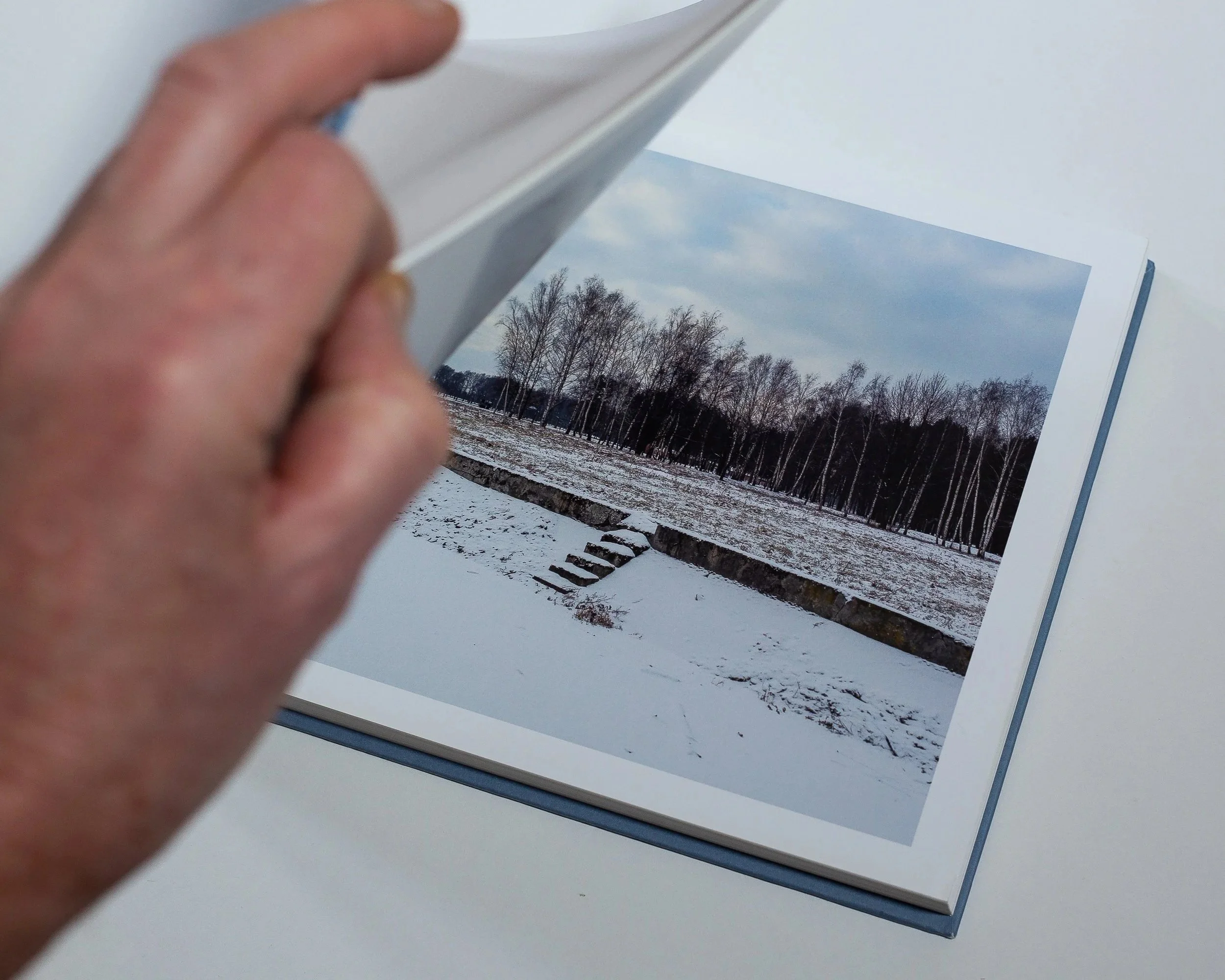 In+Search+of+Amnesia+-+Book+Image+1b.jpg