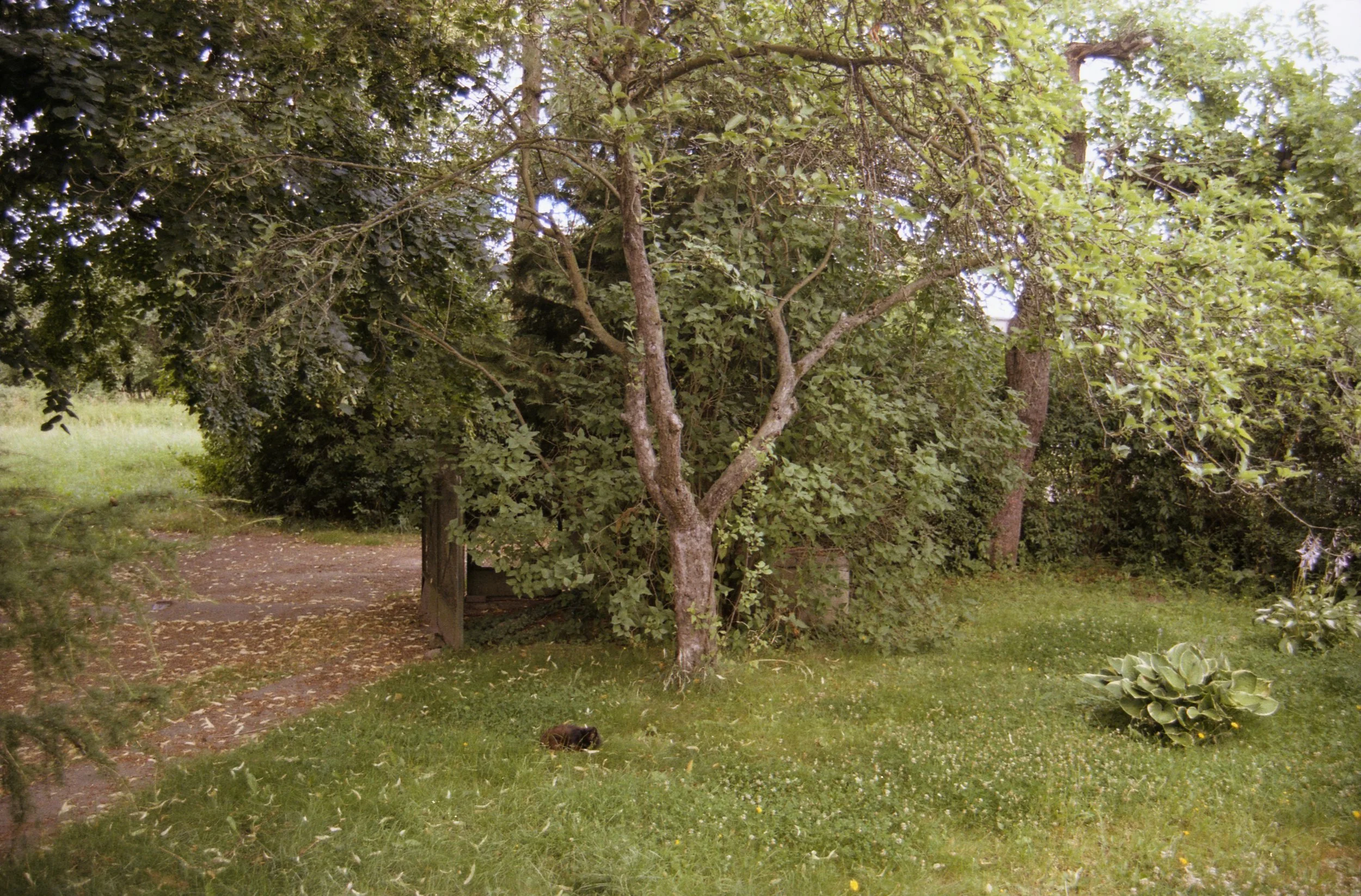 stalowastopa 28