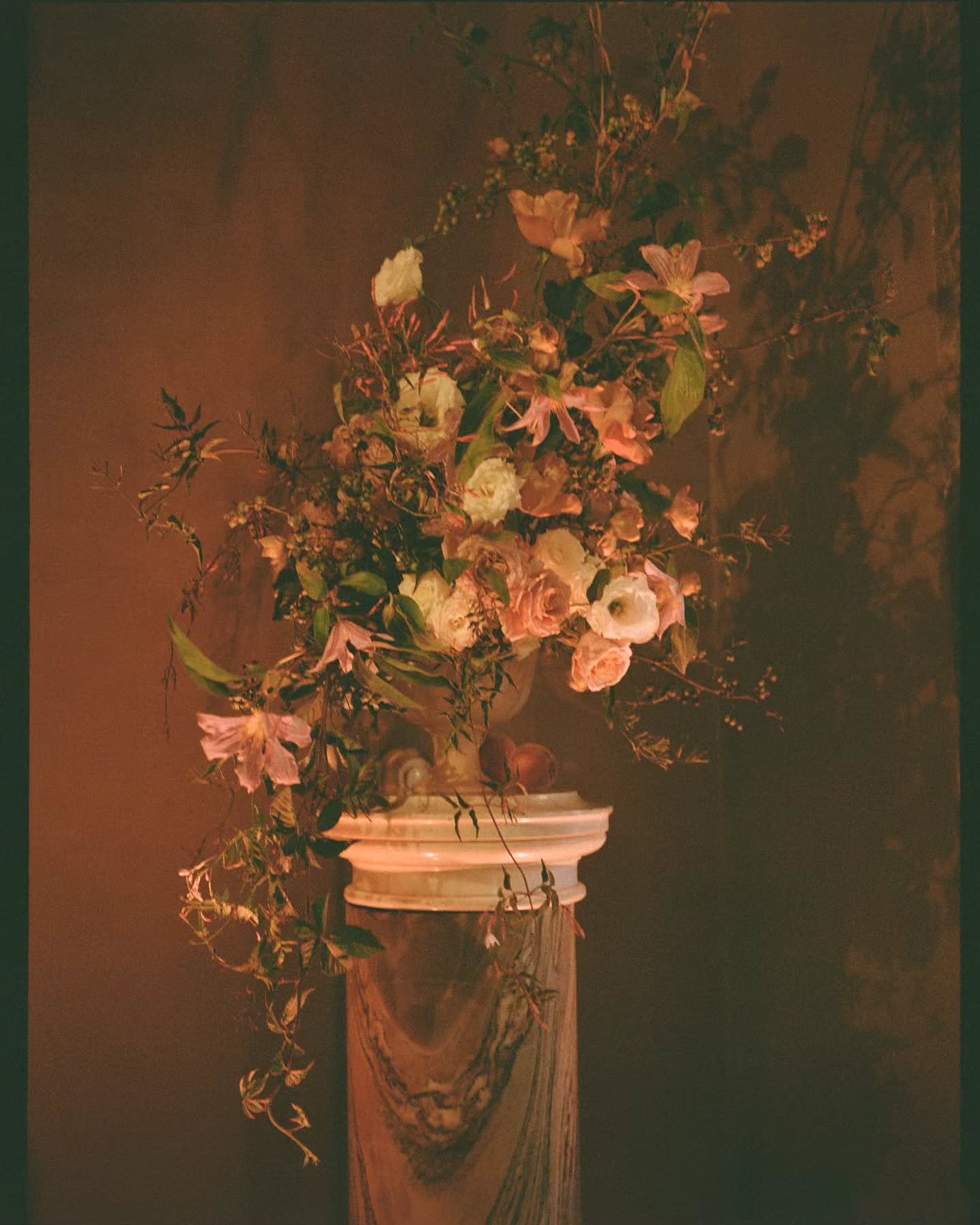 Our design ethos is rooted in reverence, and by now, you probably know that SR was born out of our desire to share with you all some portion of the magic that we see in the world as growers, designers and dreamers. It is truly a privilege to be arbit