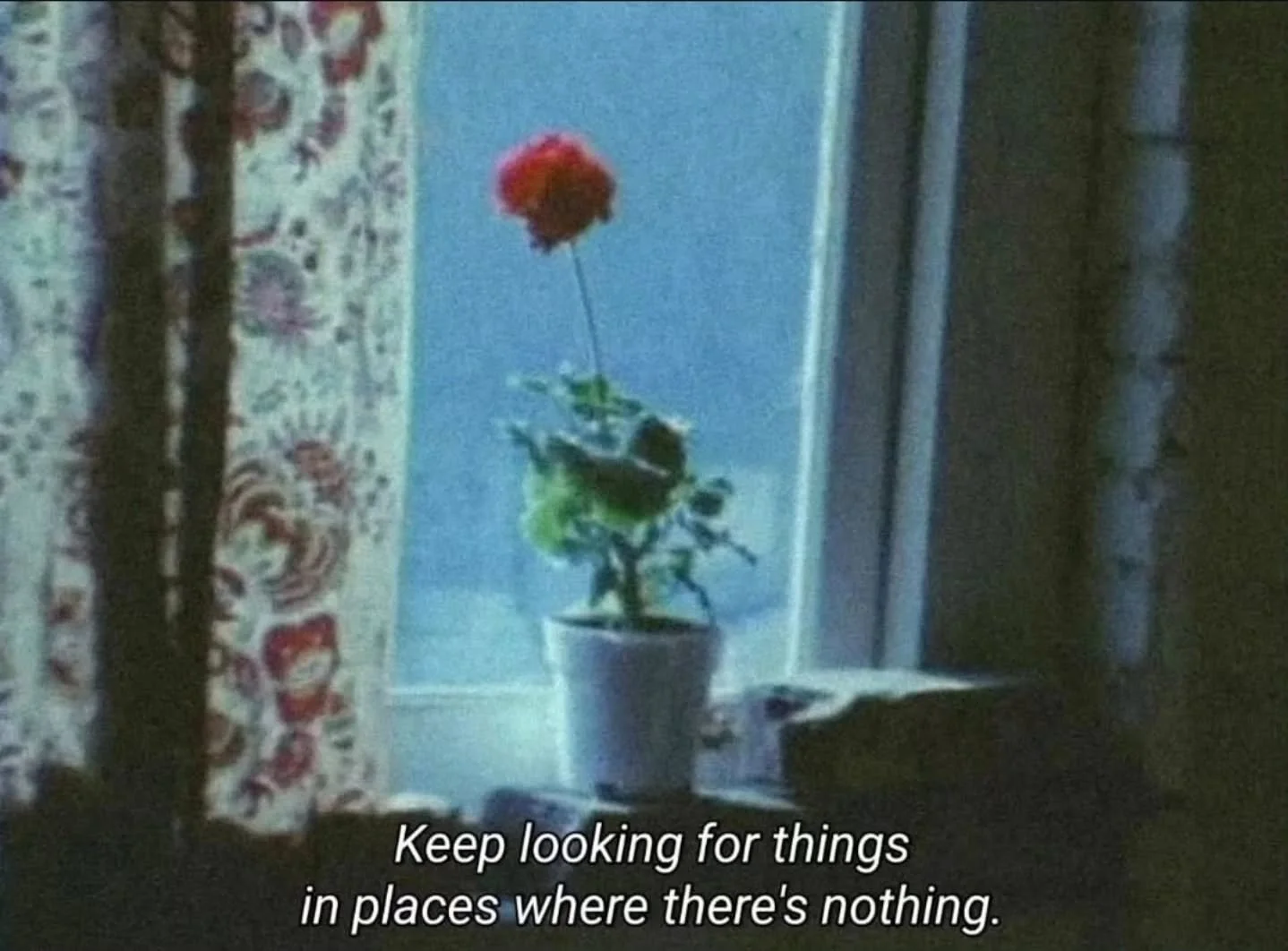 Everyday, we are feeling so beyond privileged to grow food and flowers and swim in clean water and feast our eyes on the rolling hills and listen to the midsummer bugs and have cool weather at night and use our bodies to get around and listen to musi