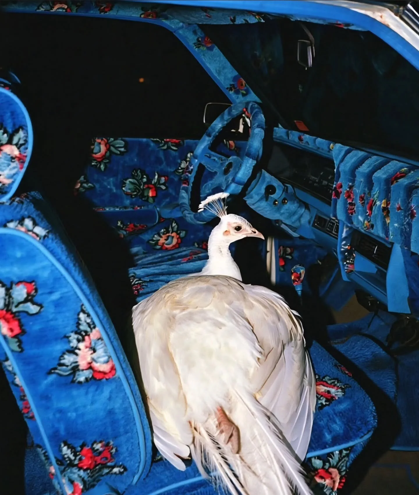 Poppin' by the main to say heyyyyy ...

The chaos keeps on giving, but community building will always be where it's at.

We've got a bunch of events planned over the next month+. Think: queer social, soup, poetry, music, karaoke?!, bao...

Stay tuned