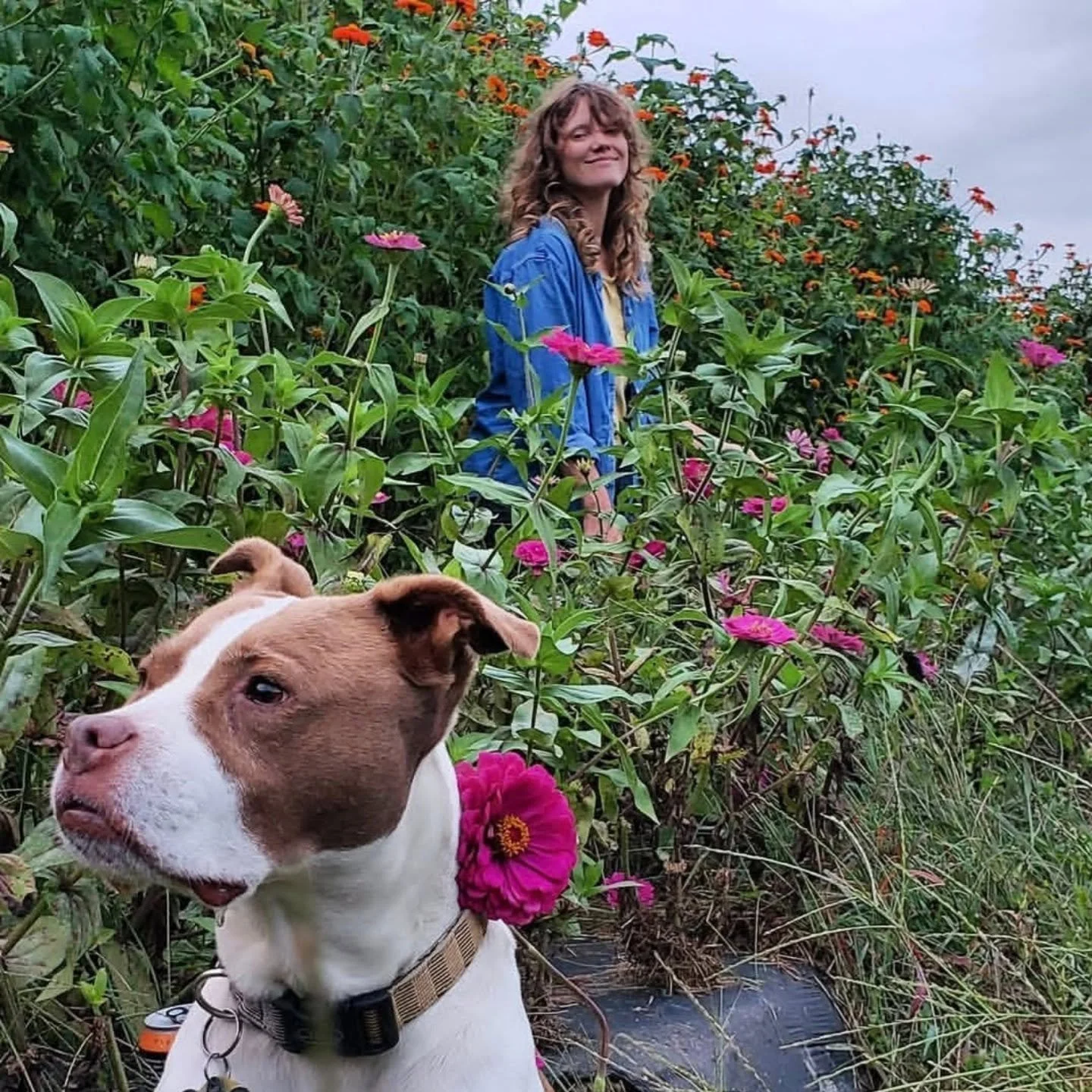 Life has been running the gamut of experiences lately, and in both the highs and lows, I always like to reflect on how we got here. So it's time to revive this Rebecca apprection post I made in 2021 over on the @many_graces IG. Simply put, there woul