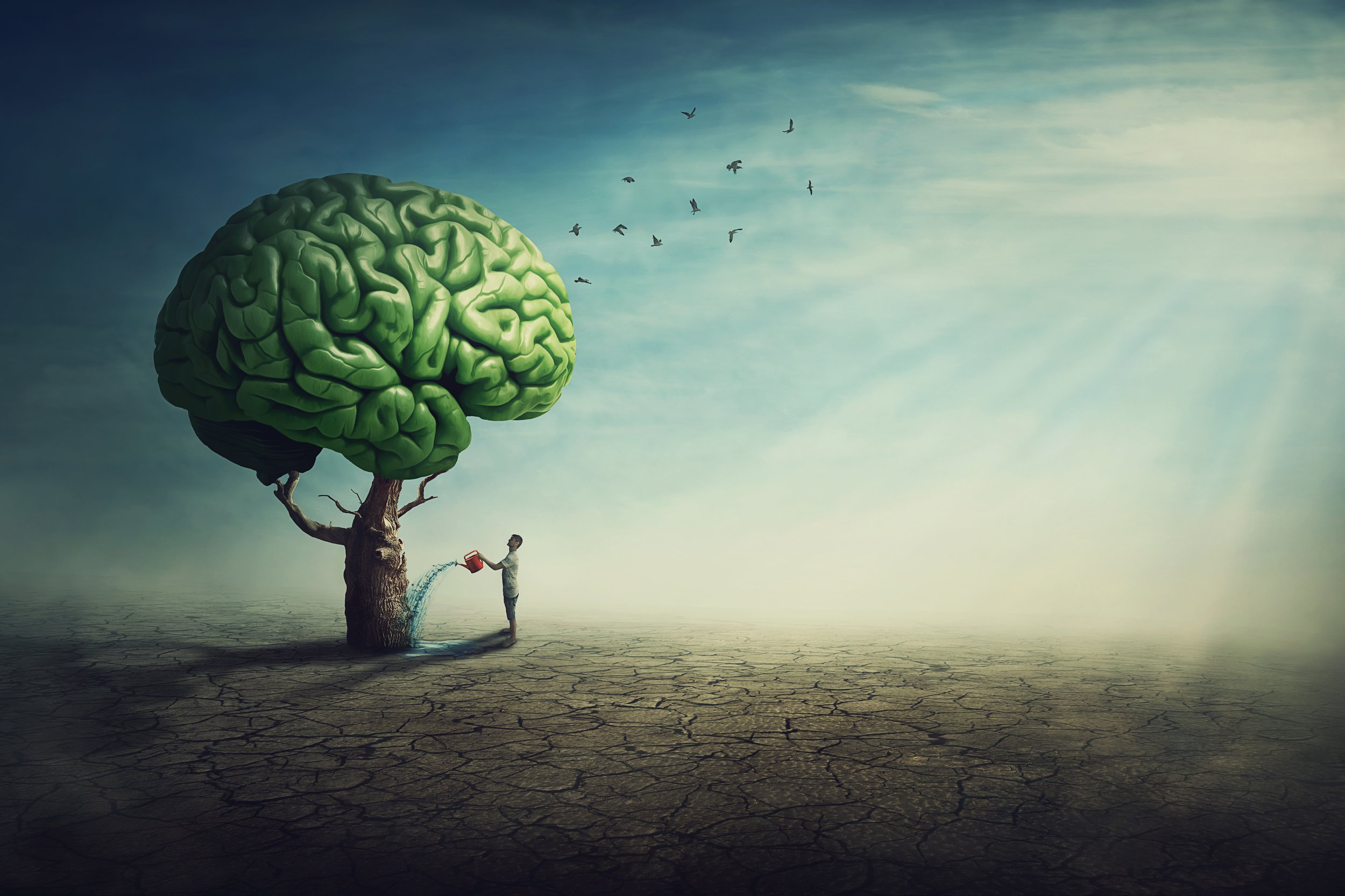 10) Eastern versus Western Thinking