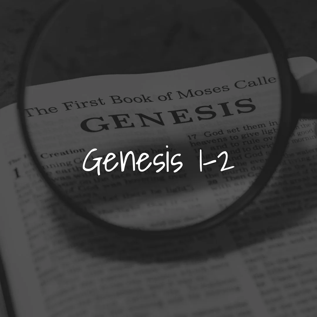 Genesis 1–2: The Foundation of Creation and Covenant Identity