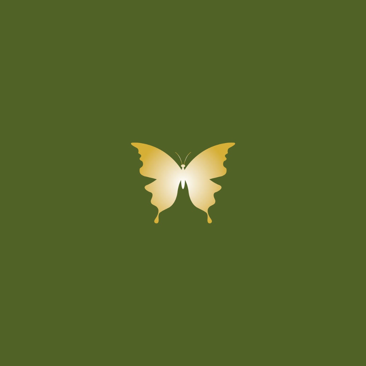 Design ohne Titel (1).png