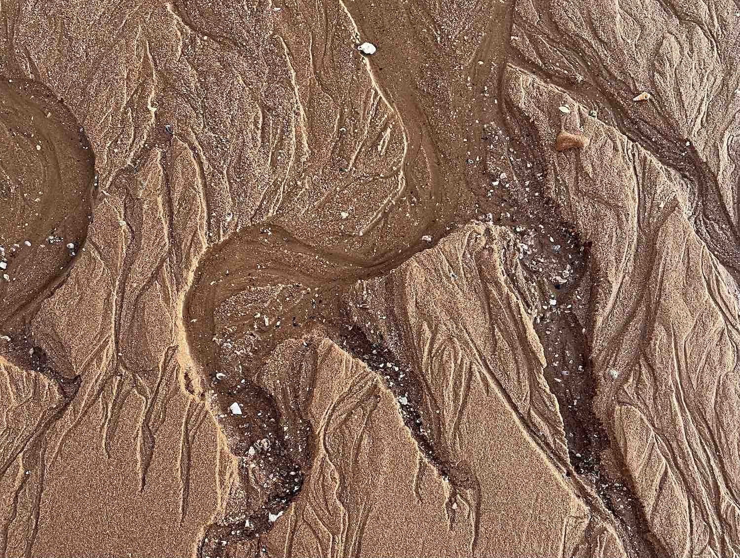 soil.jpeg