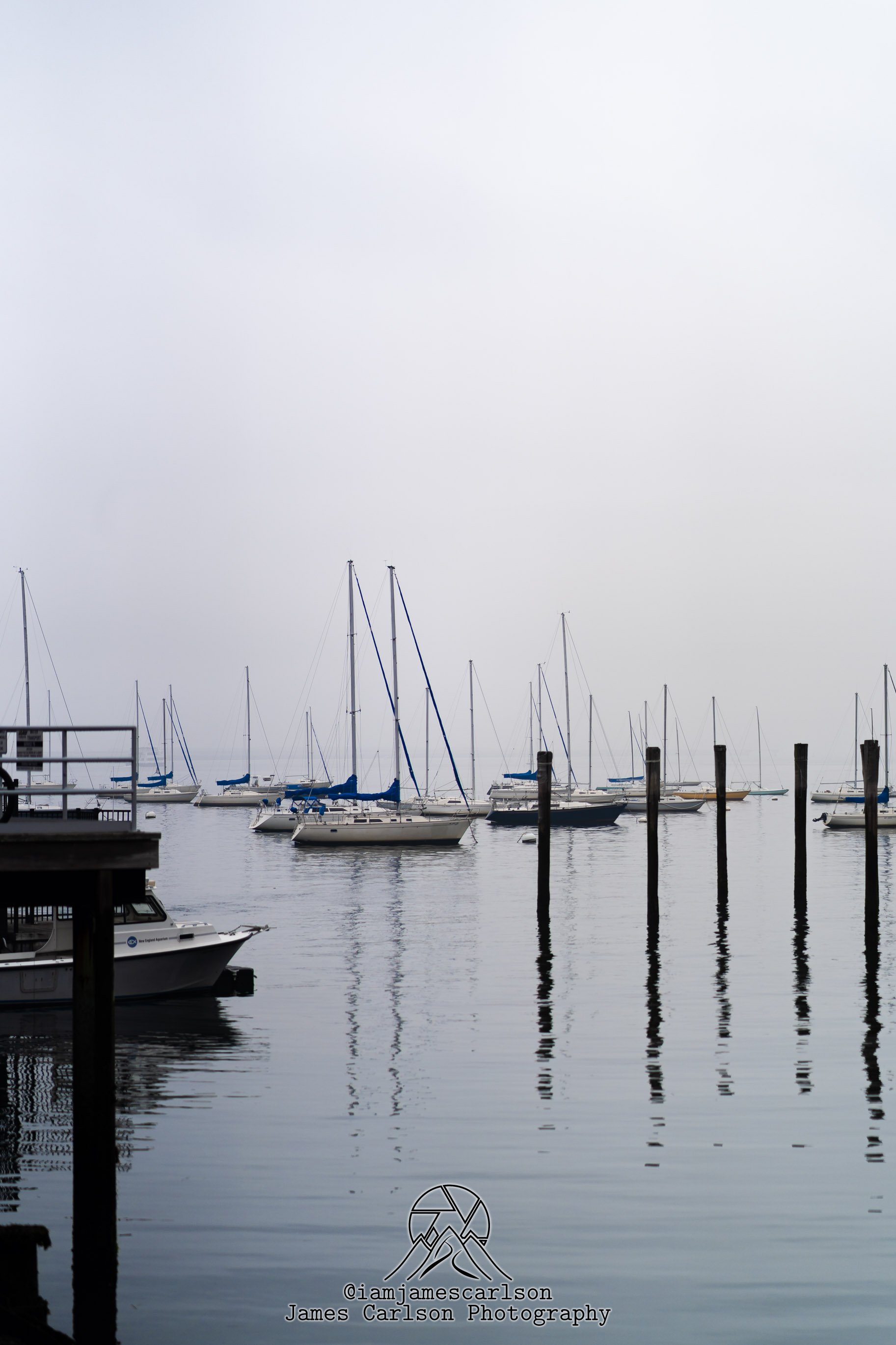 DSC06253.jpg