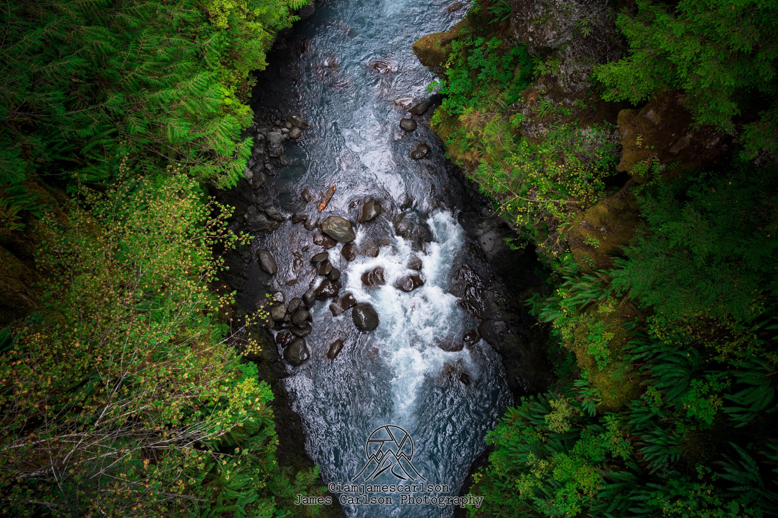 RIV05707.jpg