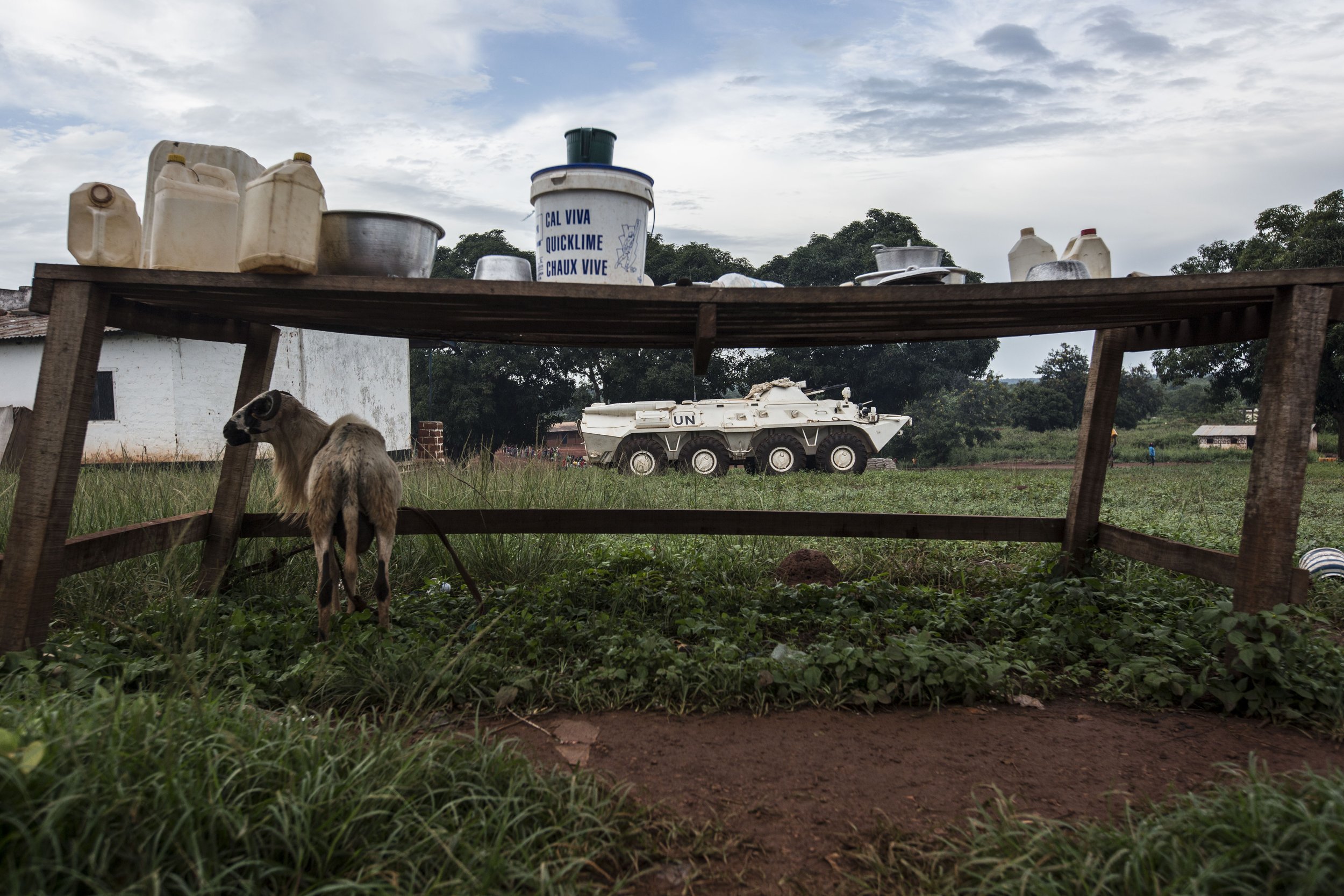 Having lost most of their cattle to theft, the Peulh community was cornered to herding goats on a very restricted space. While cows in high numbers represent pride and wealth of Peulh people, herding other animals is sign of shame and degradation.