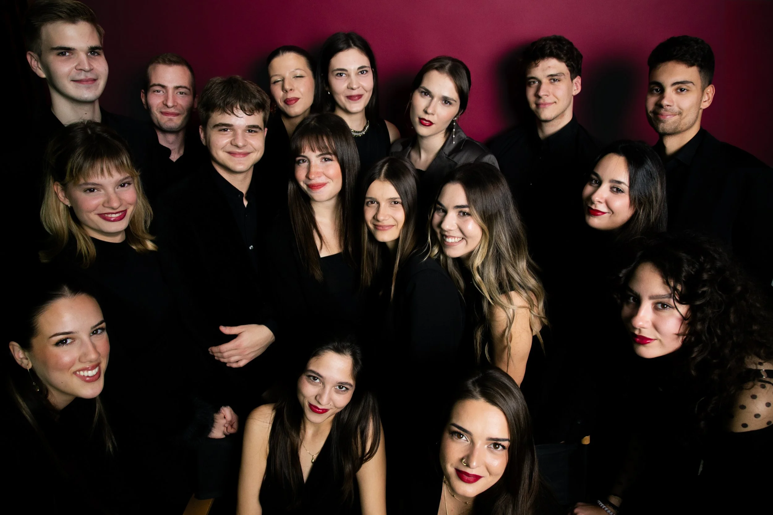 Betoven kao inspiracija za nove generacije: Vizija i misija Kamernog orkestra Muzikon
