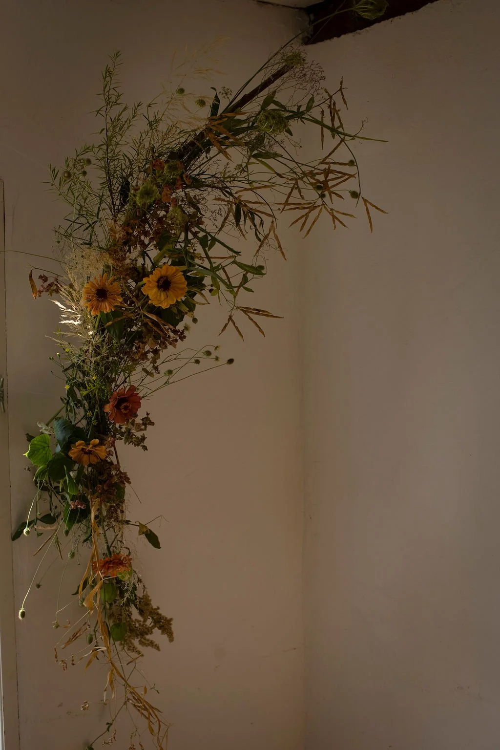 BloomingSense_2026_SHawlisch_1667.jpg