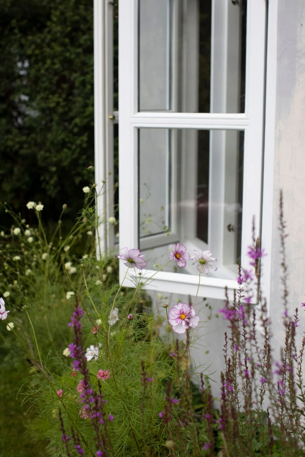 BloomingSense_2026_SHawlisch_1432.jpg