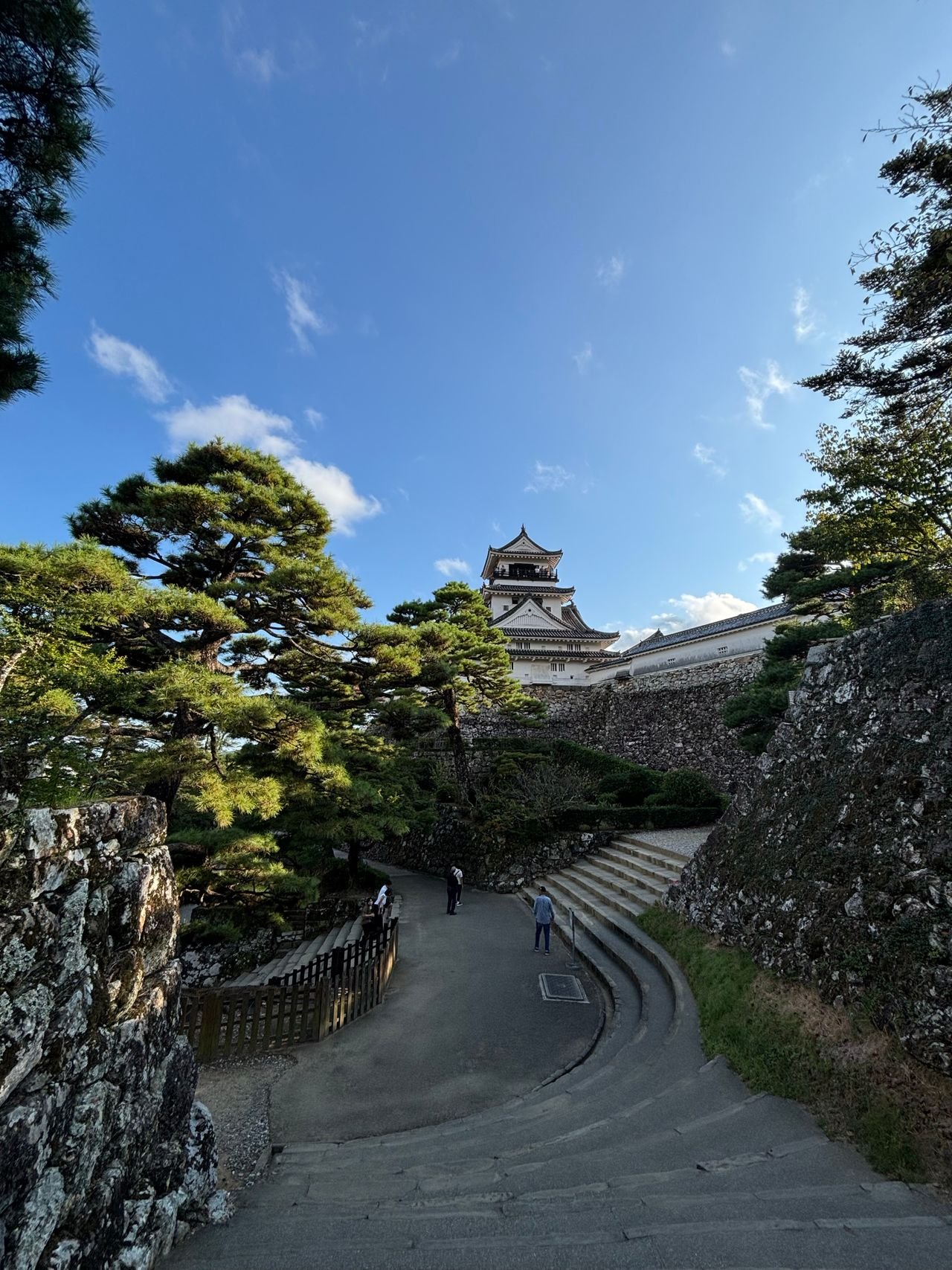 kochi-pivate-tour-kochi-castle.jpg