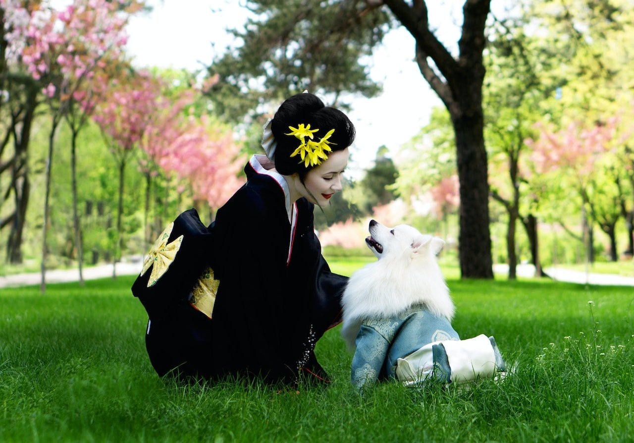 dog in a kimono.jpg