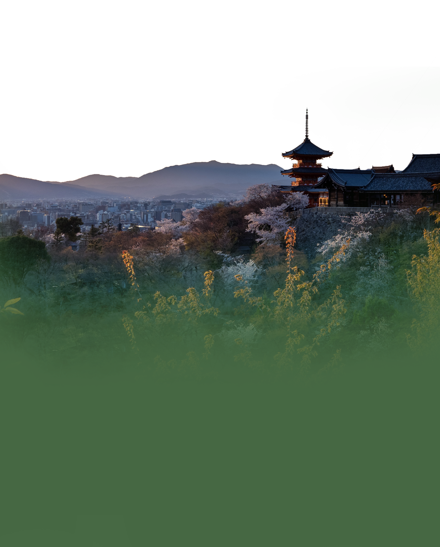 pagoda-panorama-mega.png