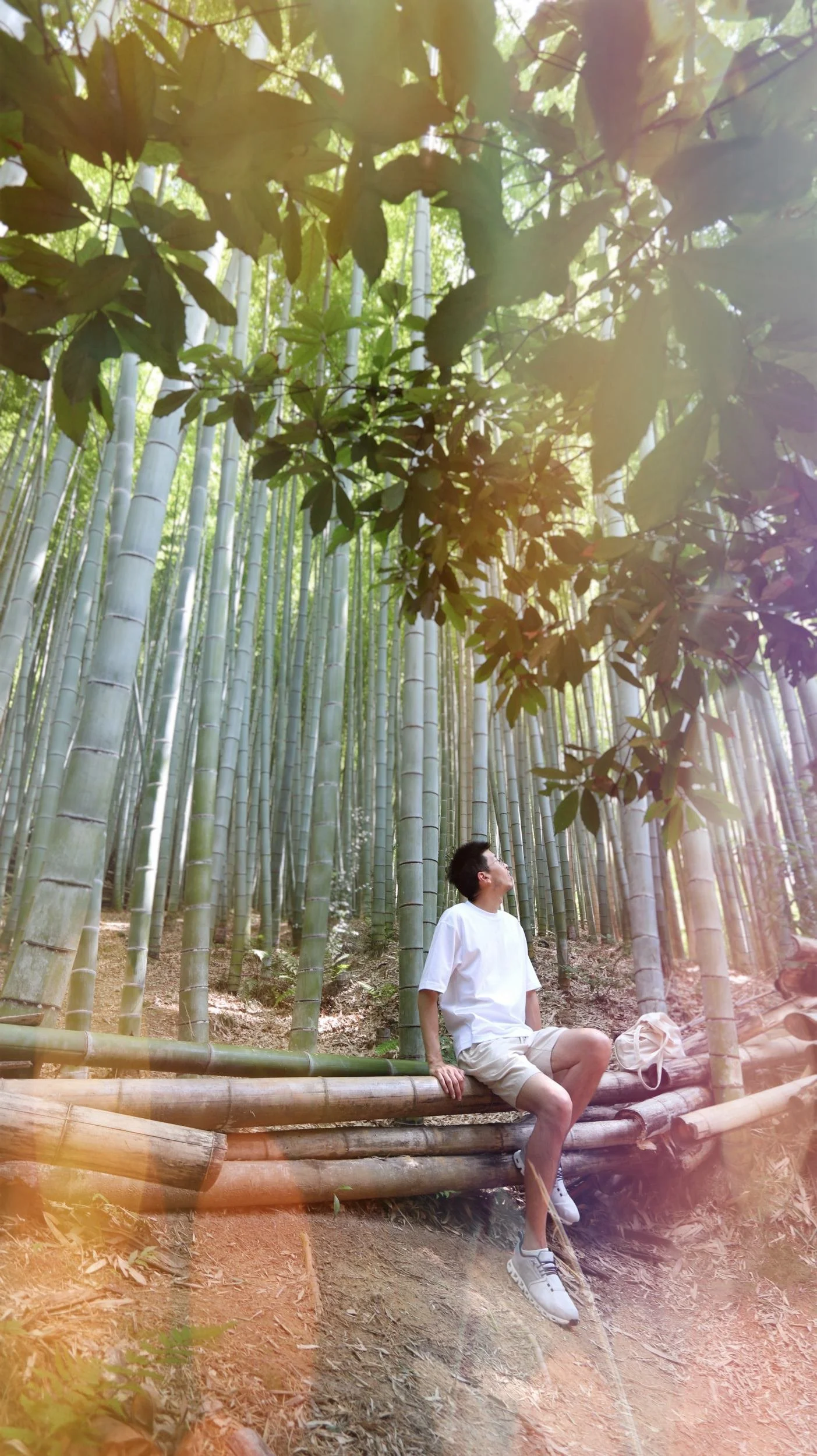 kyoto-photoshoot-secret-bamboo-forest.jpeg