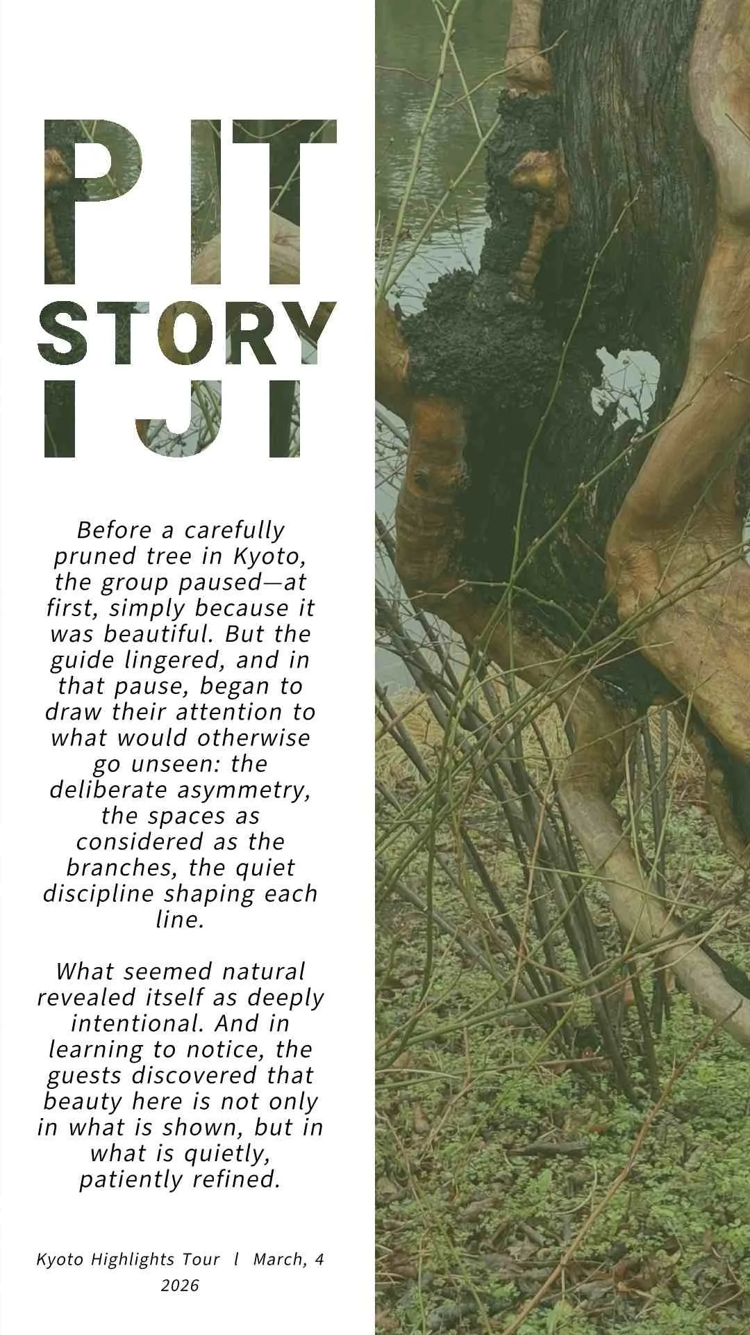 pjt-story-2026-6.jpg